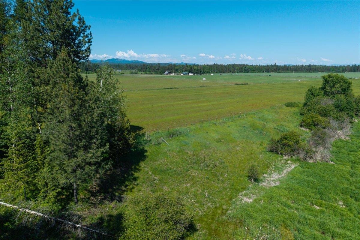 4668 Williams Valley Rd - Photo 40