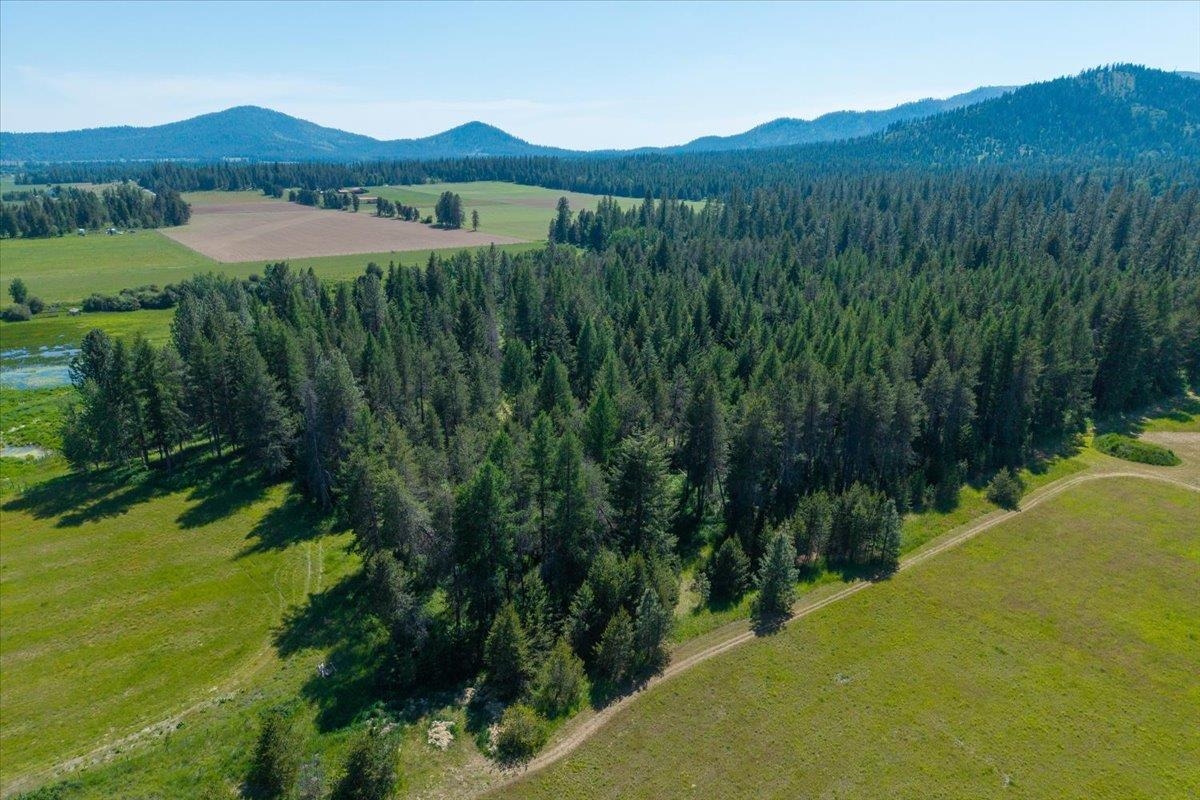 4668 Williams Valley Rd - Photo 42