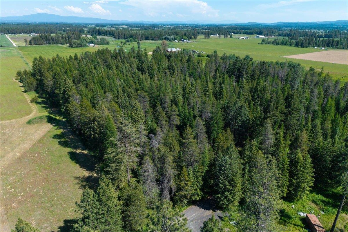 4668 Williams Valley Rd - Photo 43