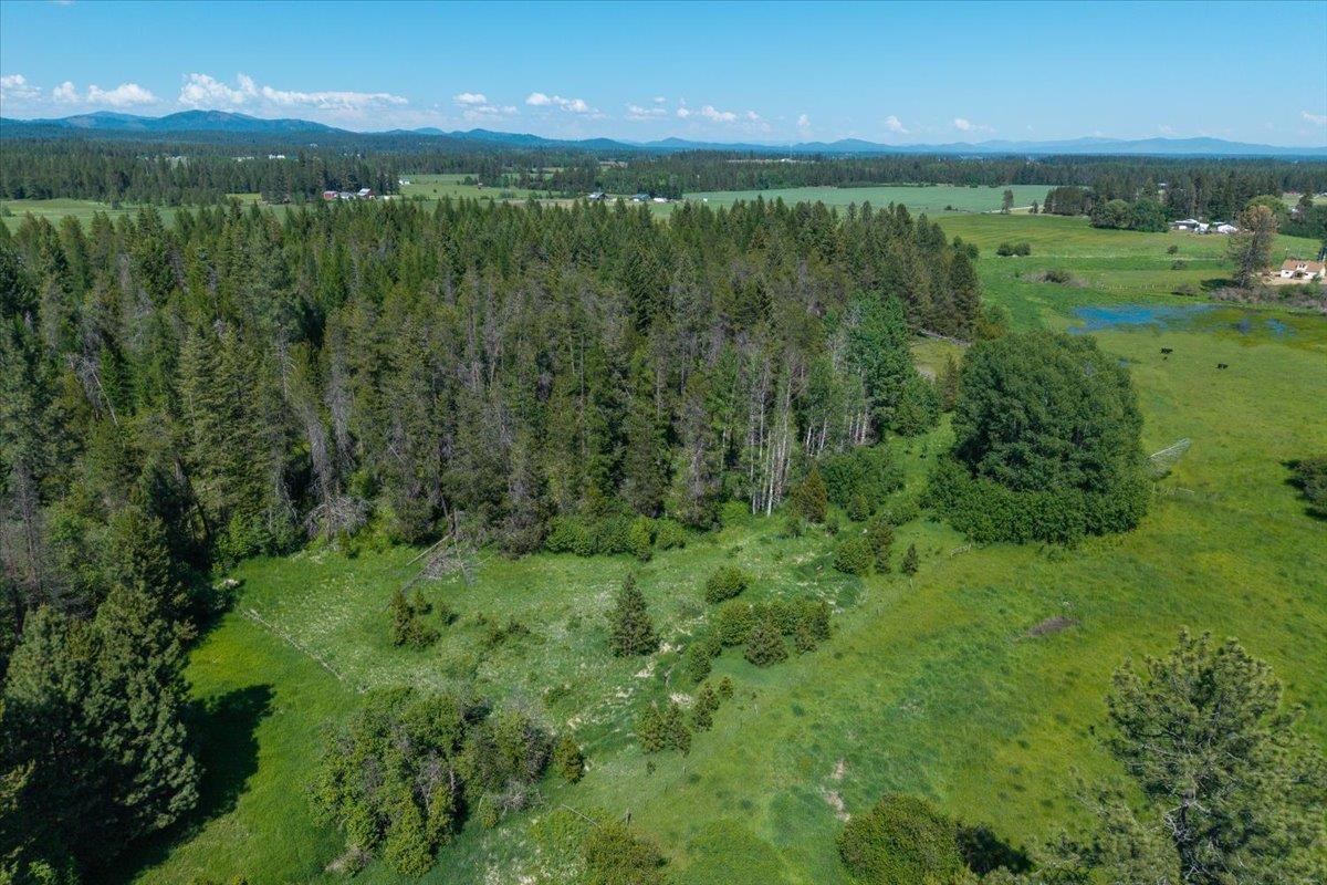 4668 Williams Valley Rd - Photo 44