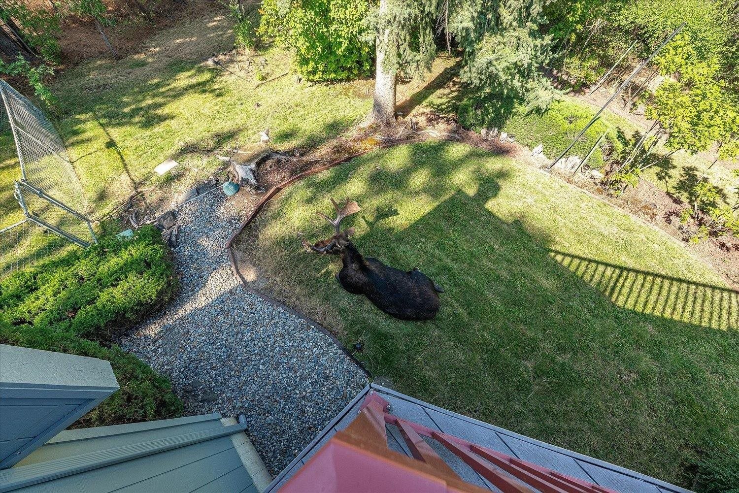 3109 W 20th Ave - Photo 4