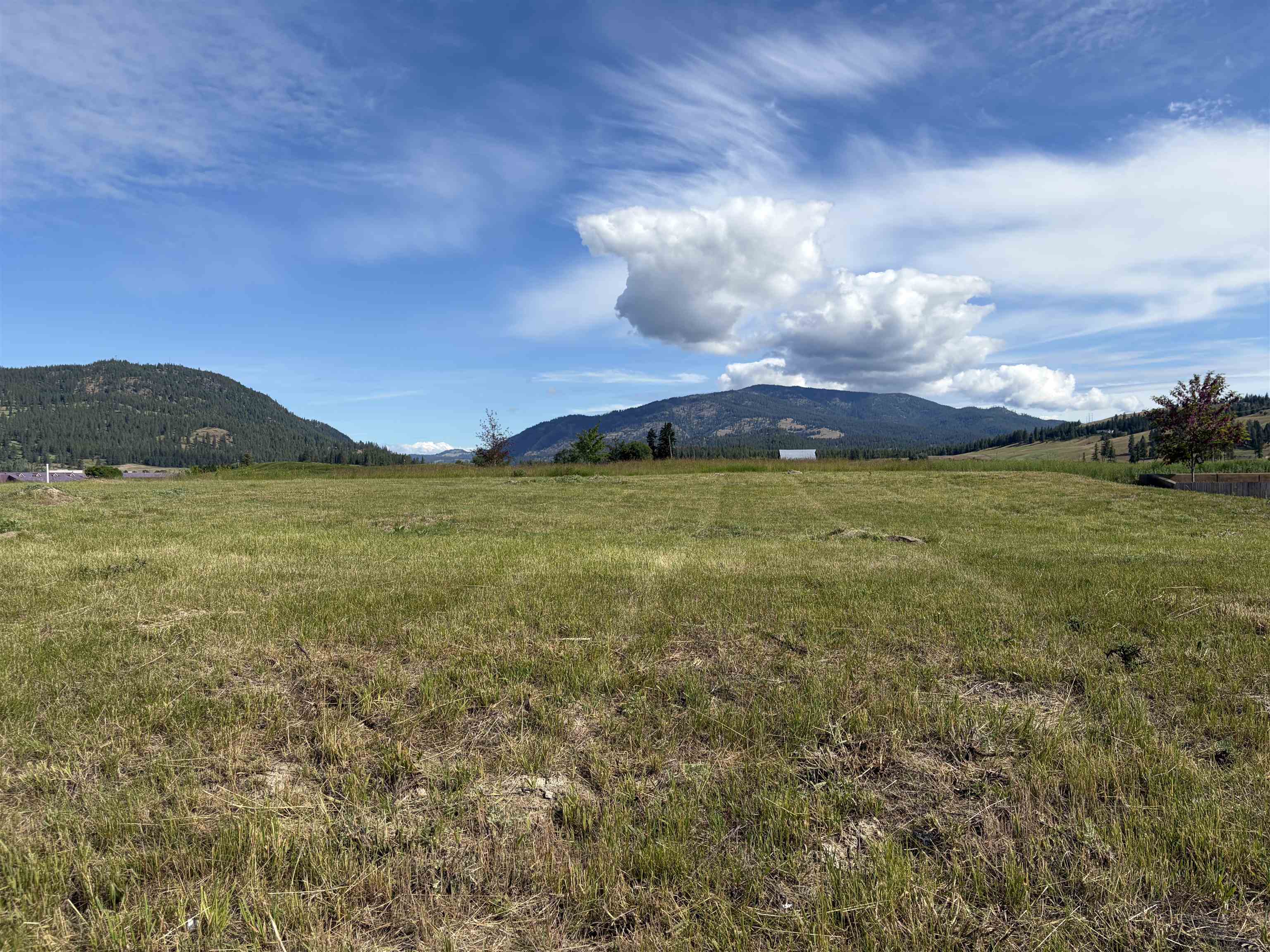 2118 Ringneck Loop - Photo 2