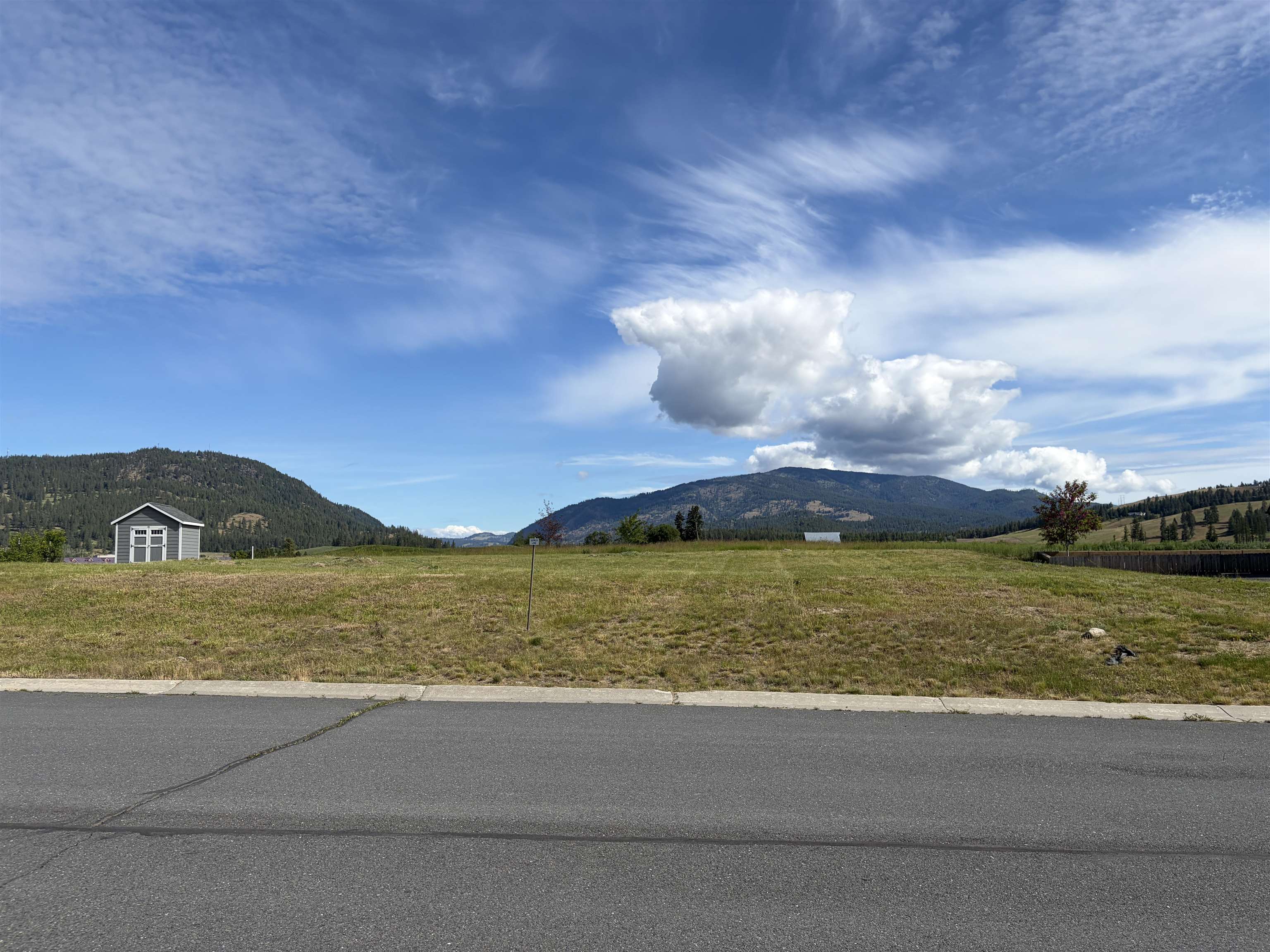 2118 Ringneck Loop - Photo 1