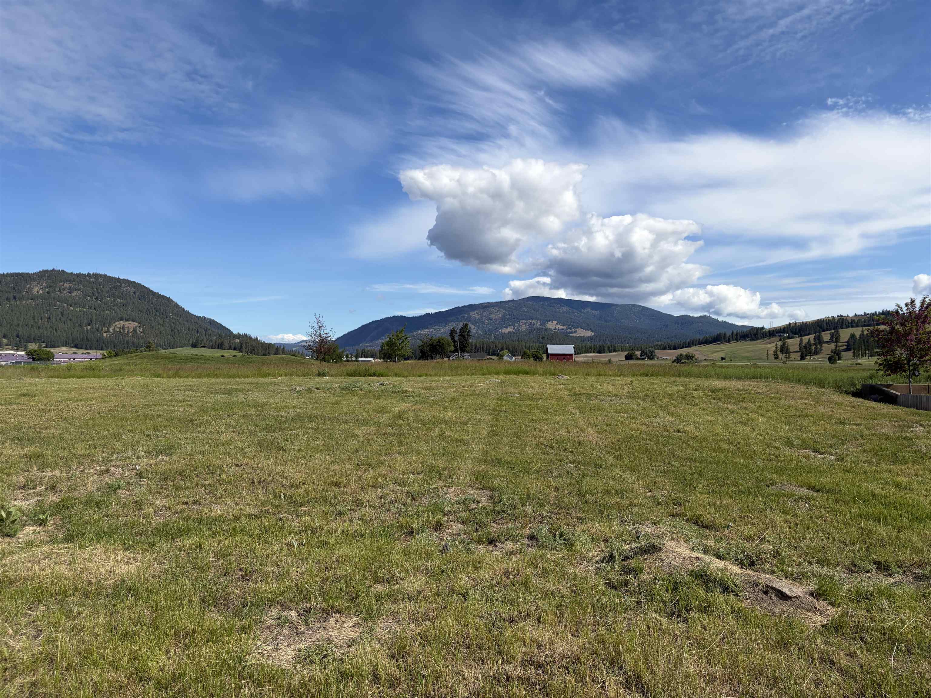 2118 Ringneck Loop - Photo 3