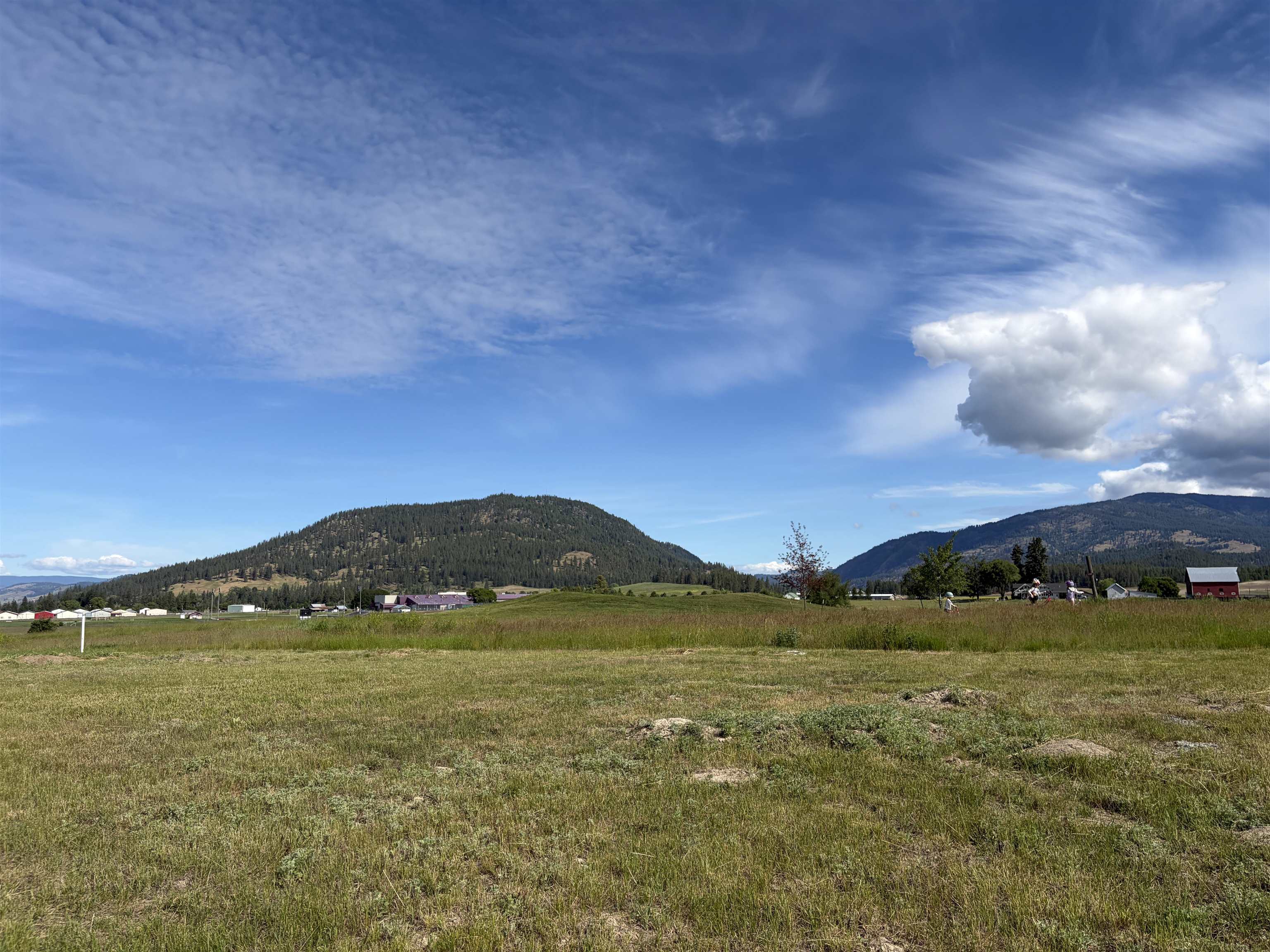 2118 Ringneck Loop - Photo 4