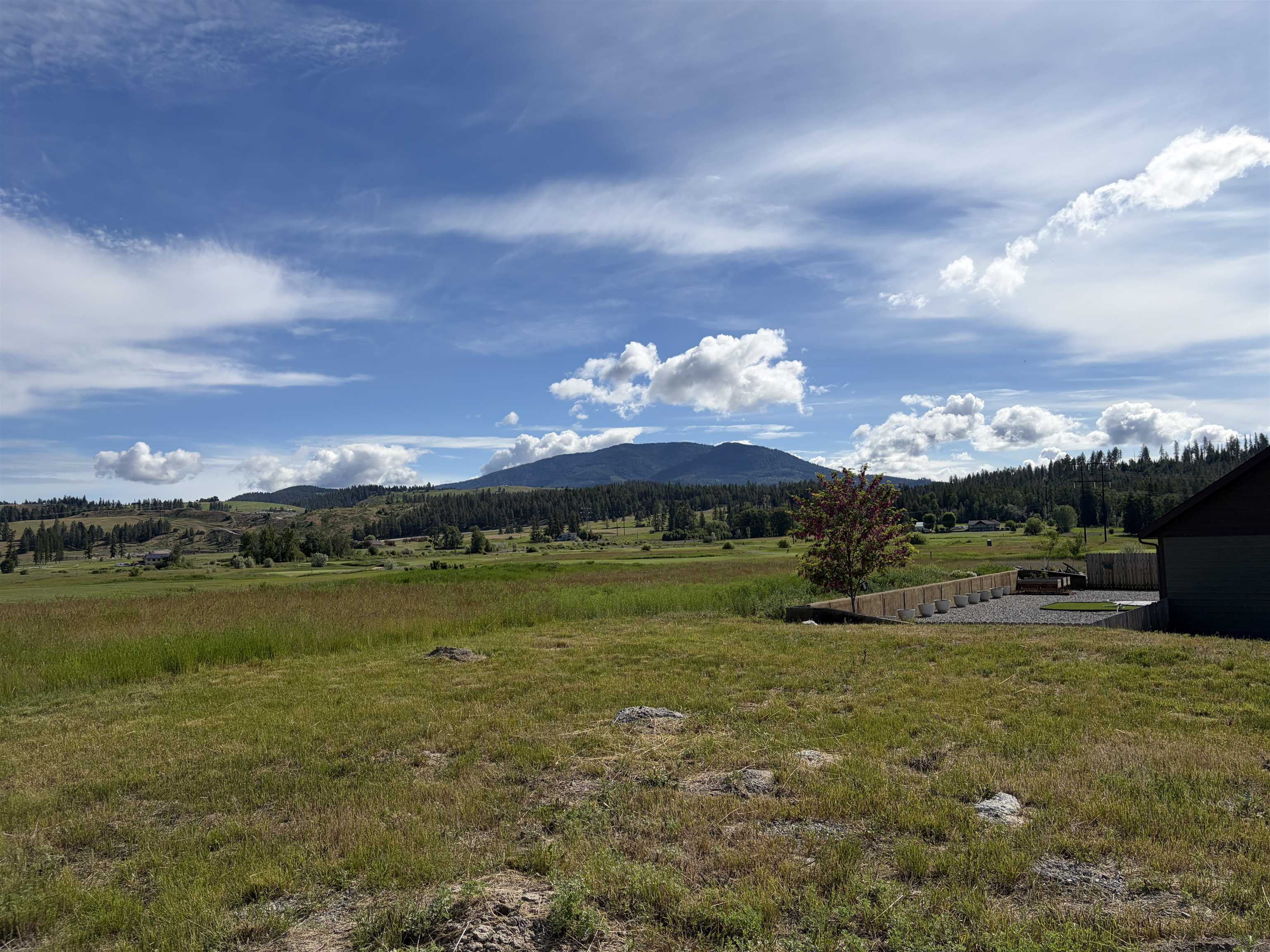 2118 Ringneck Loop - Photo 5