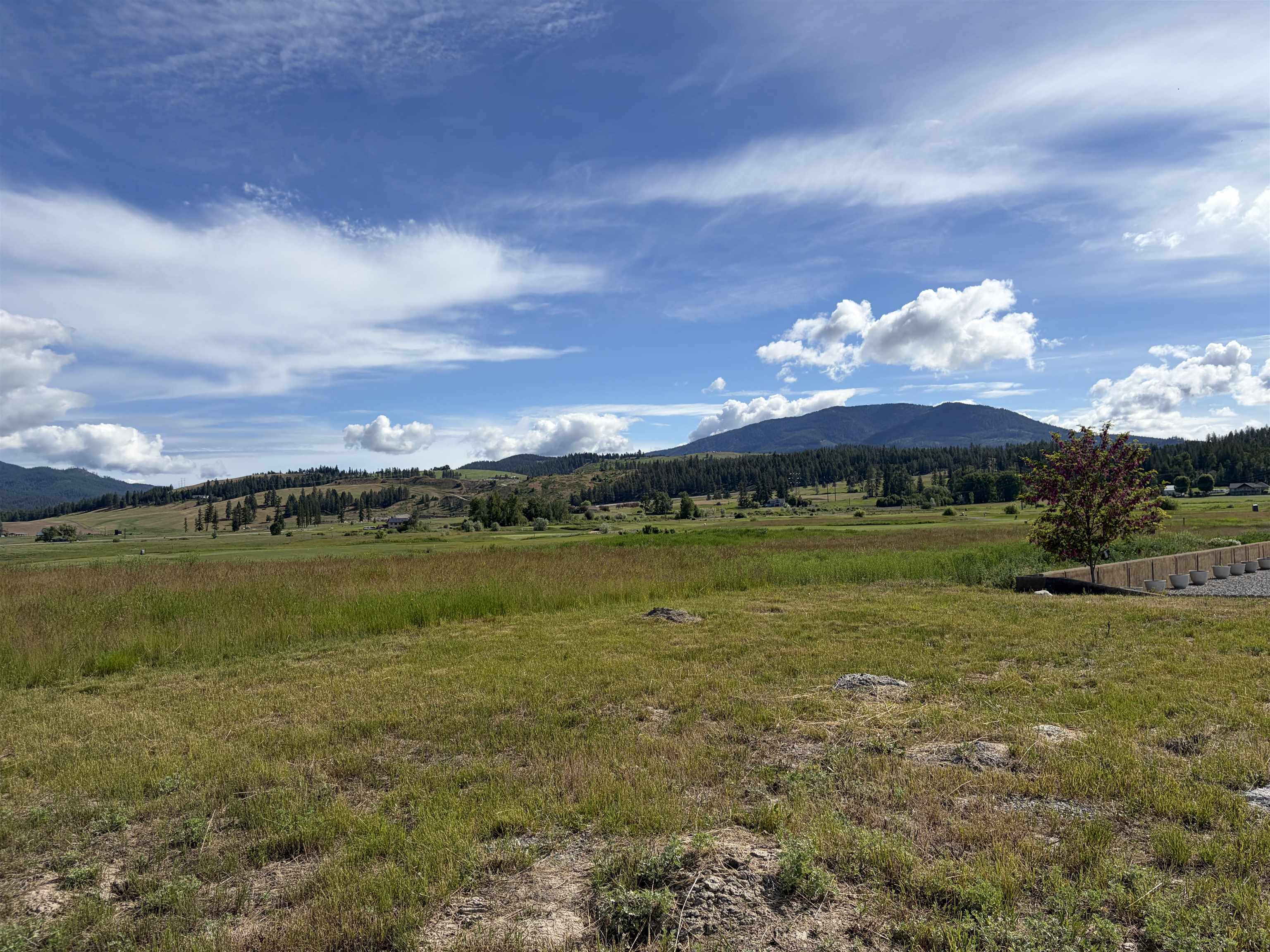 2118 Ringneck Loop - Photo 6
