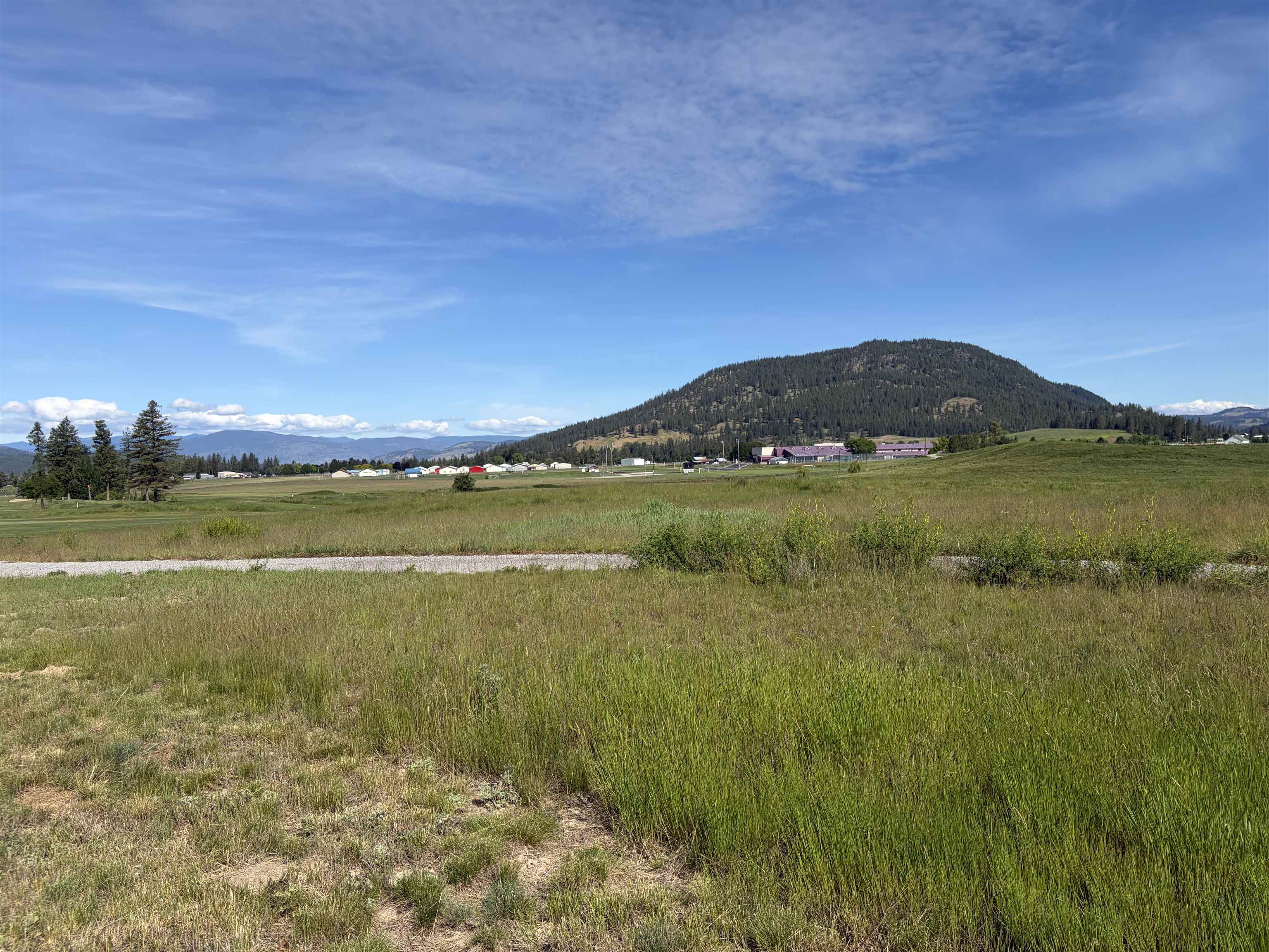 2118 Ringneck Loop - Photo 7