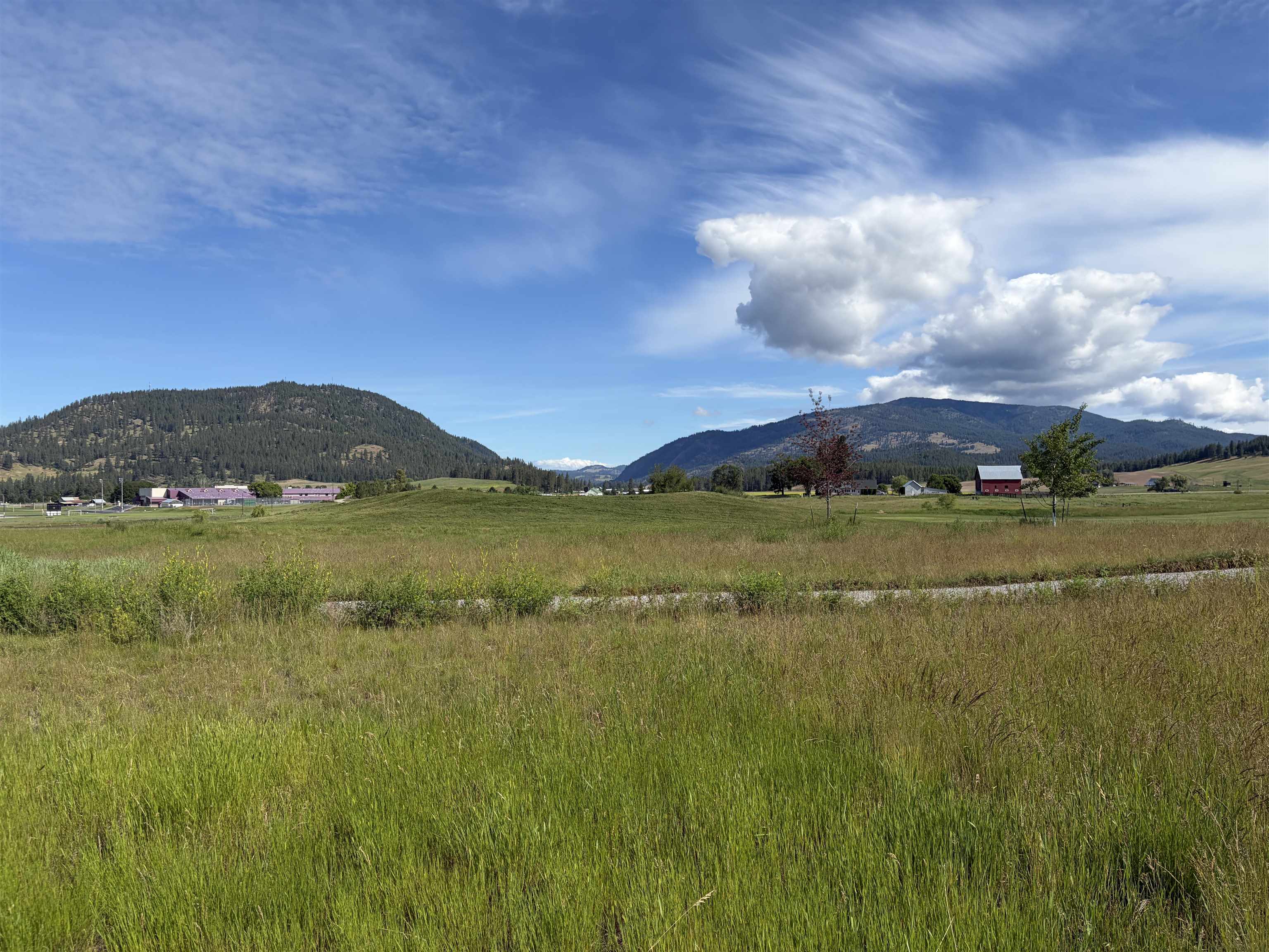 2118 Ringneck Loop - Photo 8