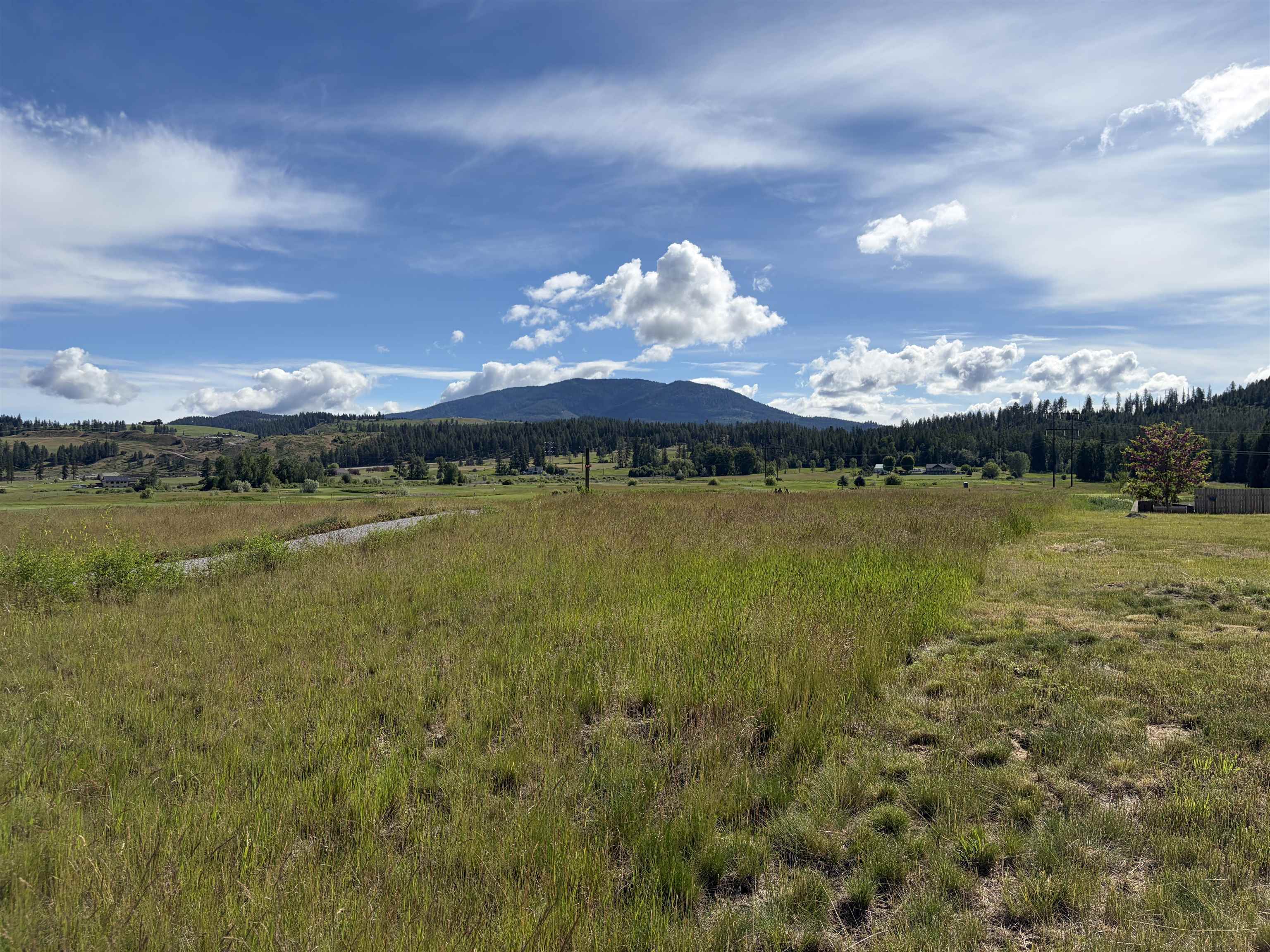 2118 Ringneck Loop - Photo 11