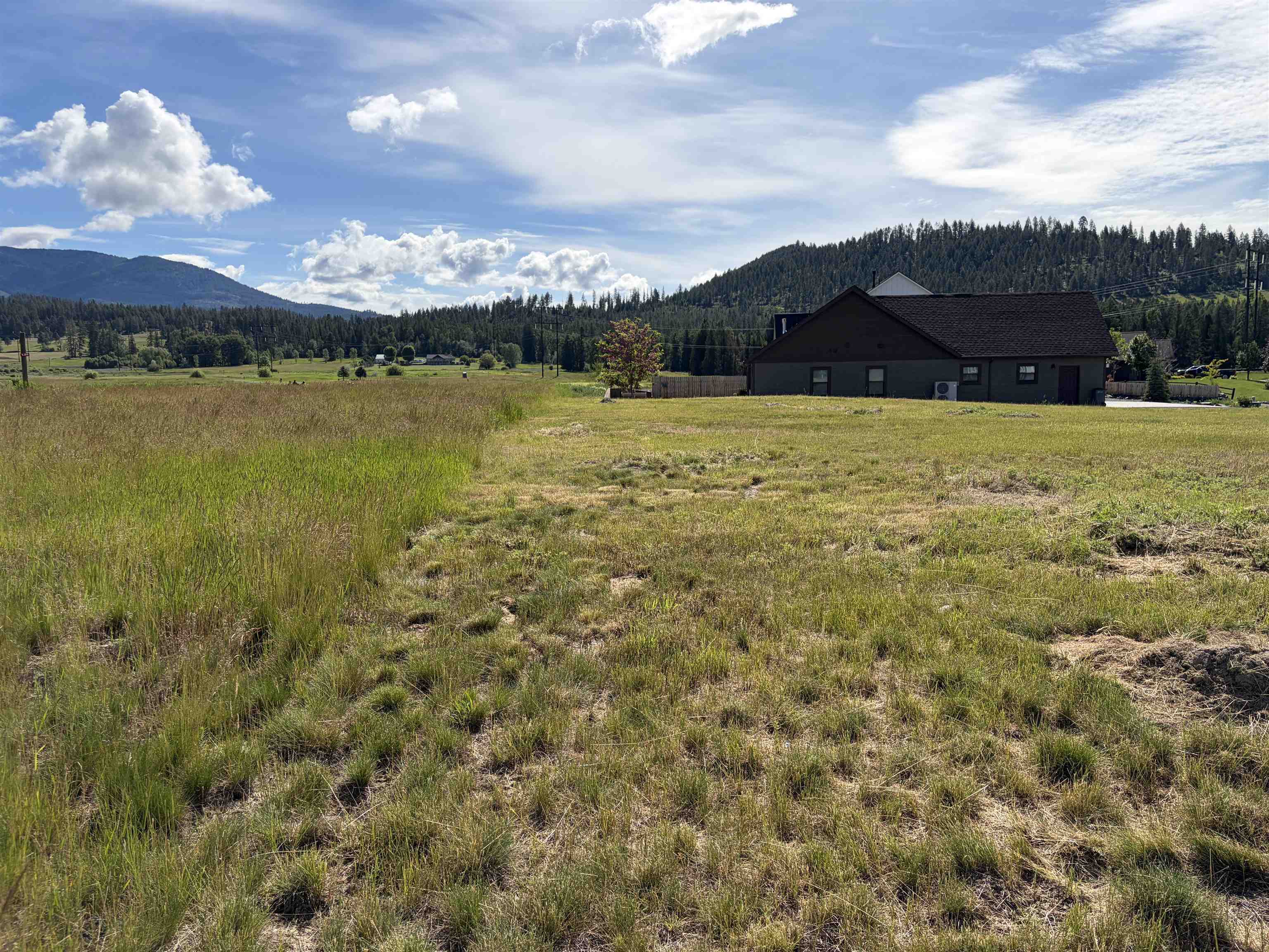 2118 Ringneck Loop - Photo 12