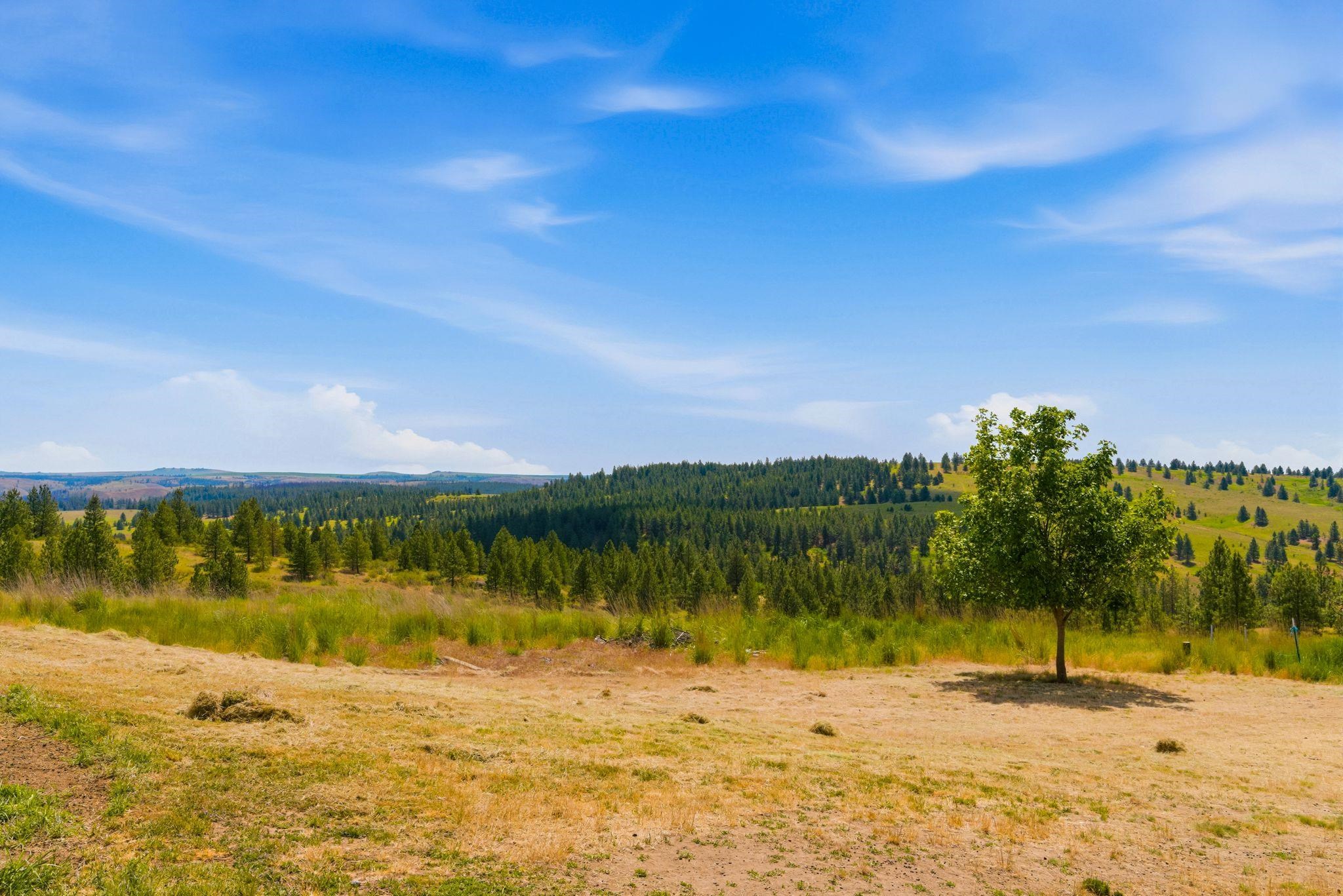 36127 N Hart Rd - Photo 37