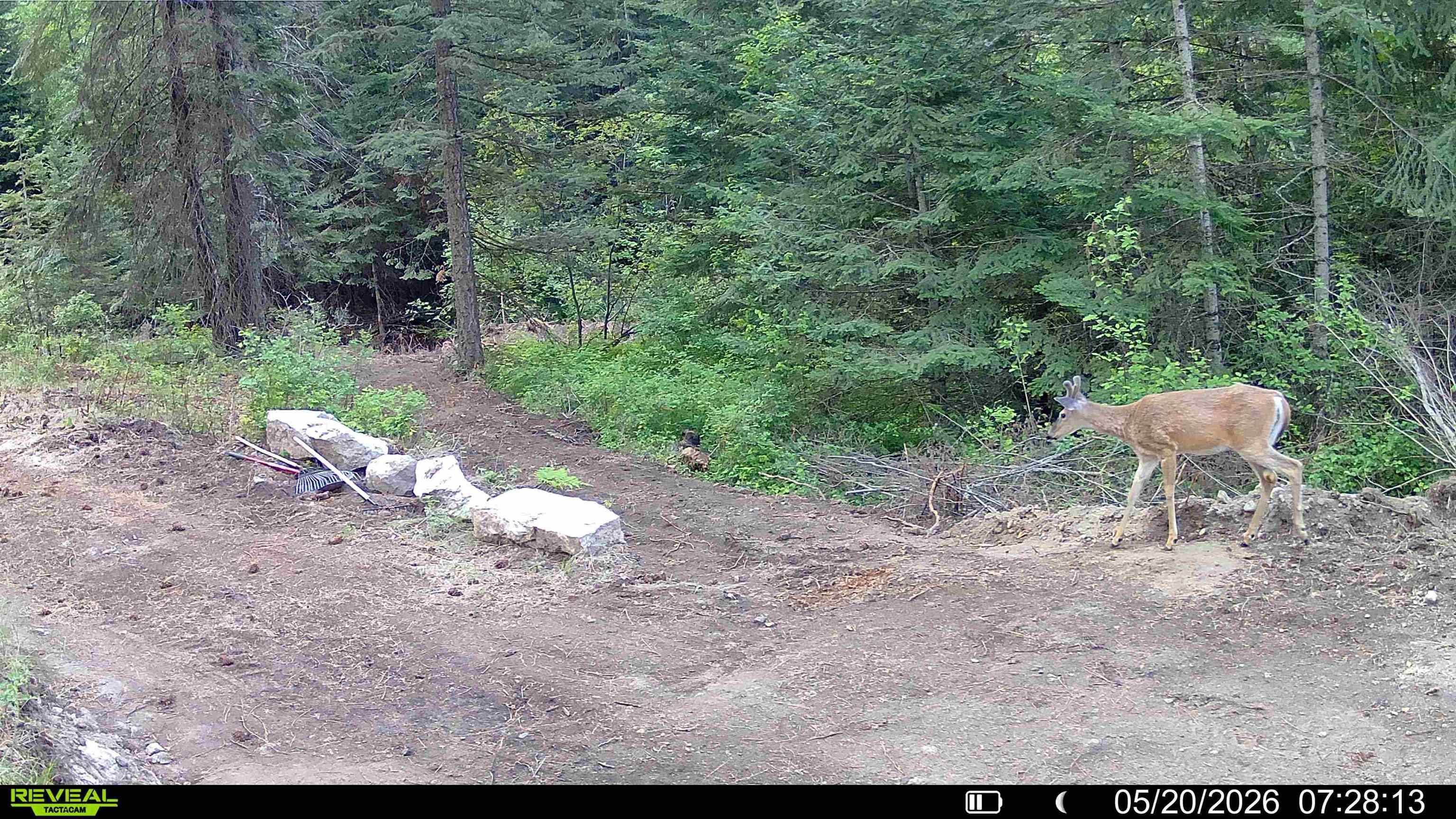 22XXX N Madison Rd - Photo 35