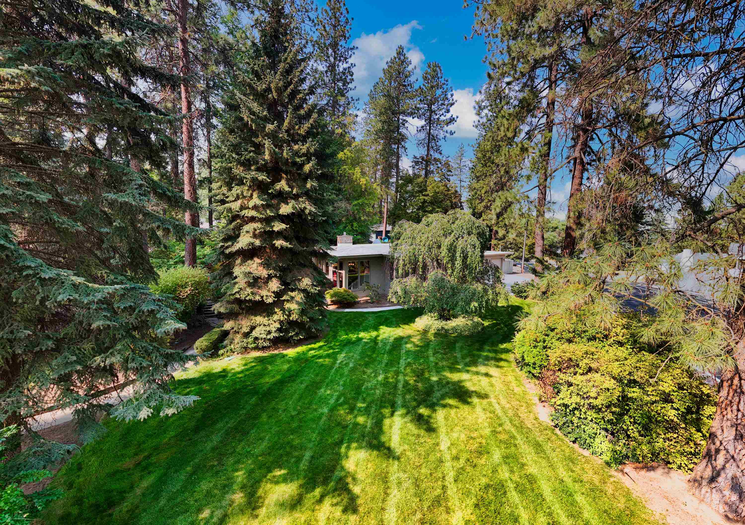 1003 E 16th Ave - Photo 3