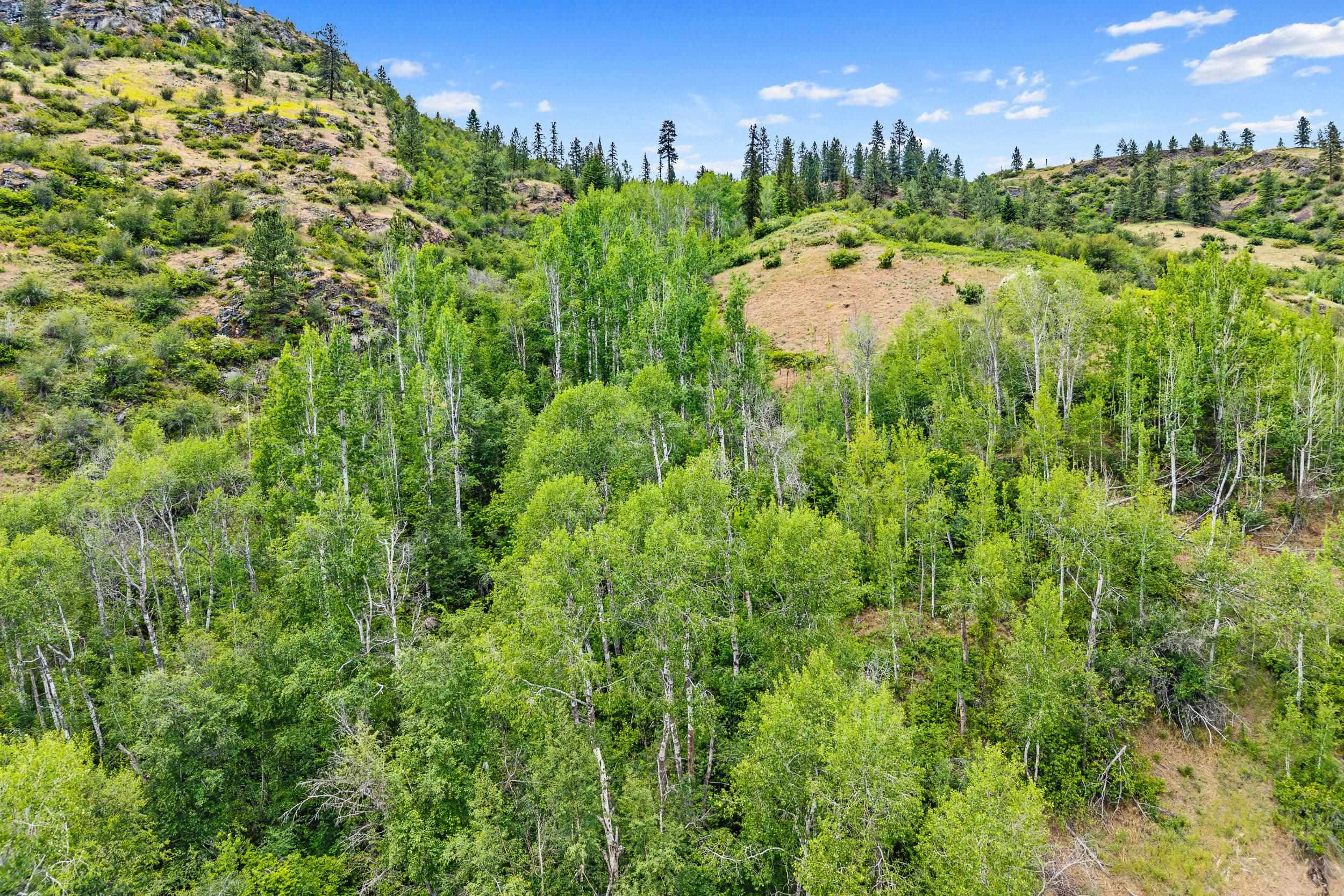 4217 Northport Flat Creek Rd - Photo 48