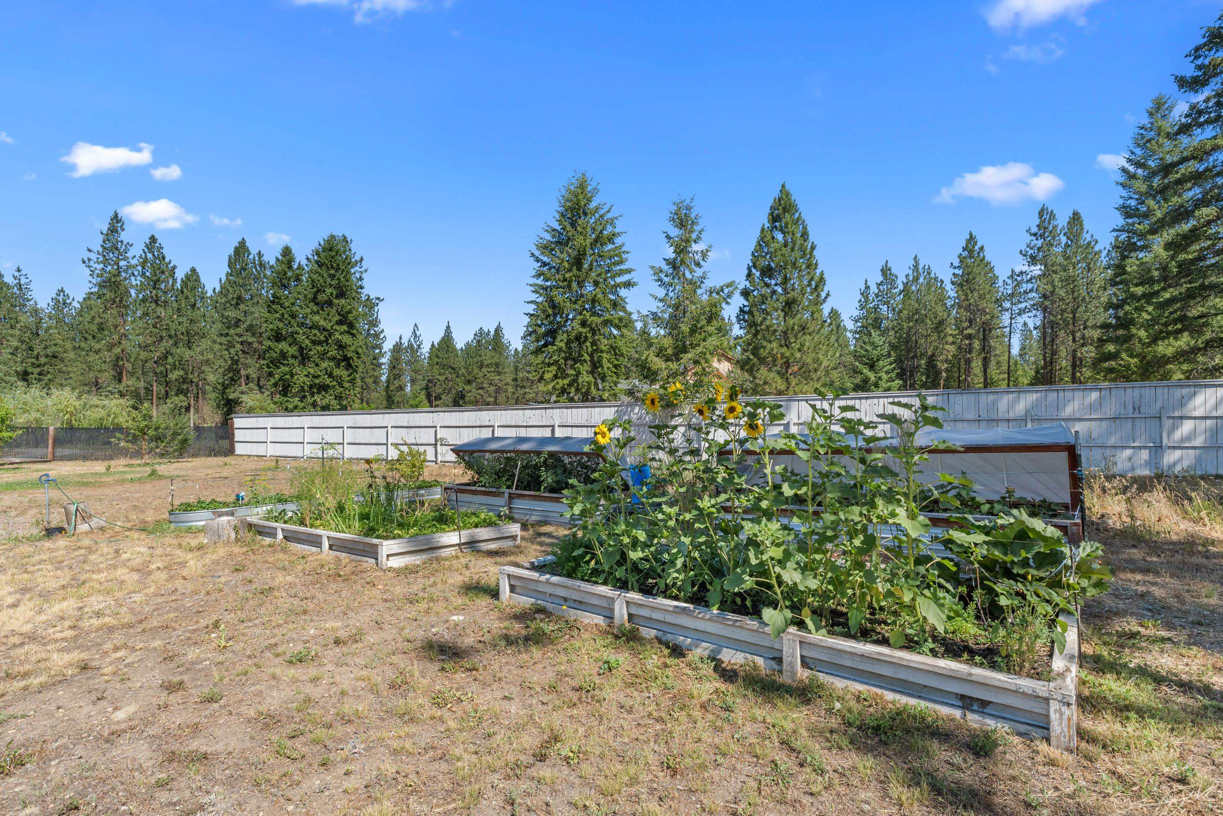 1196 Sunrise Way - Photo 40