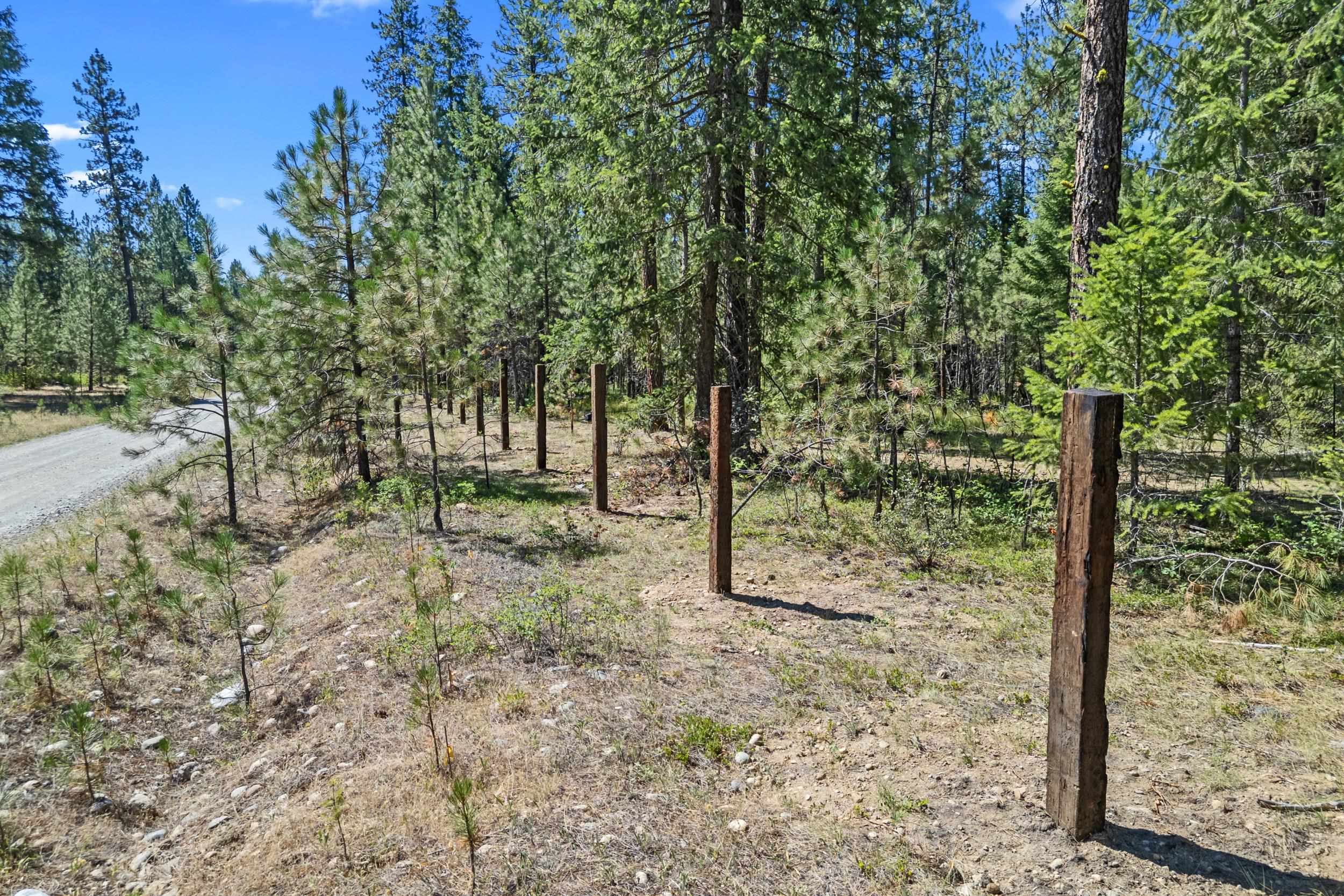 1196 Sunrise Way - Photo 44