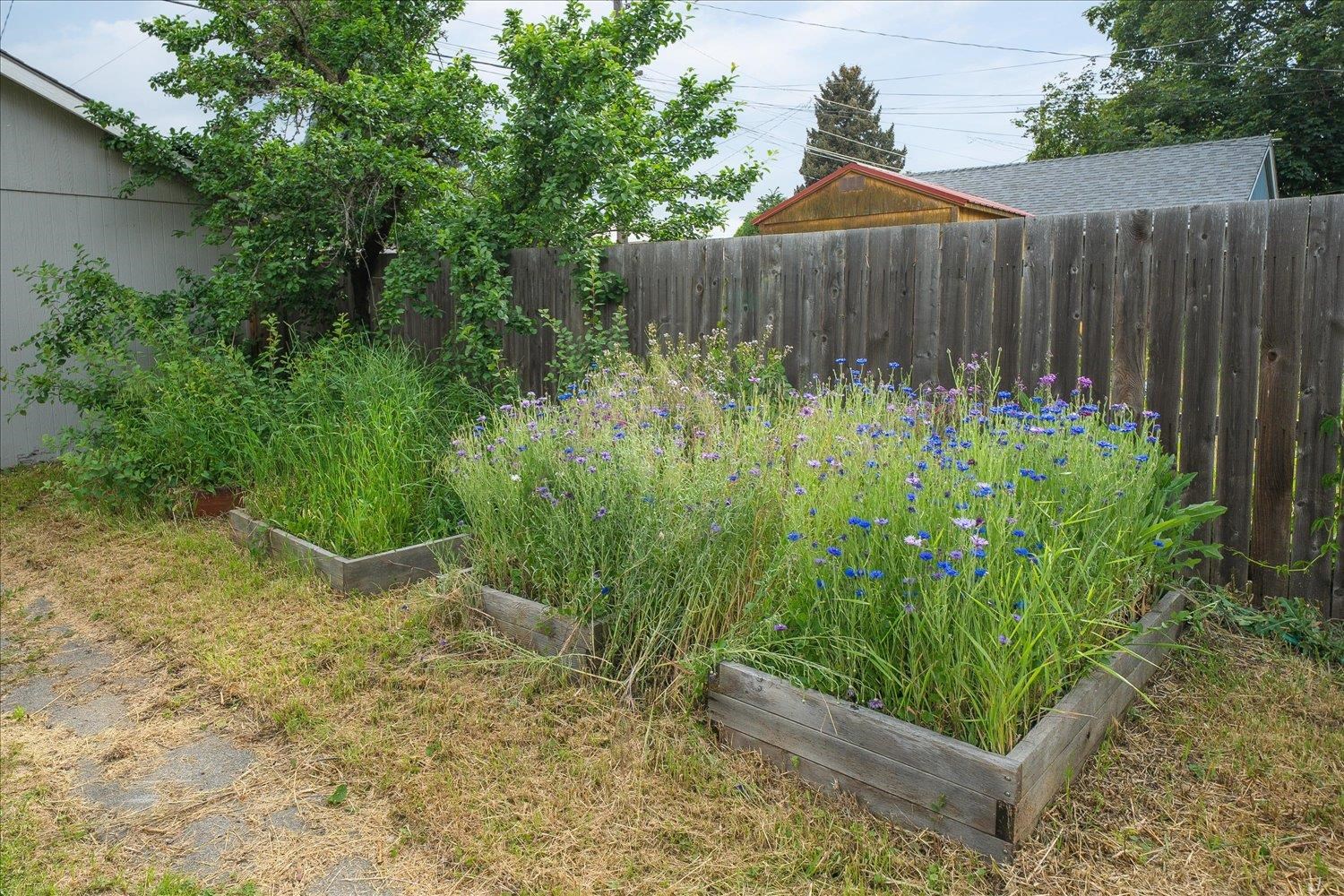 2121 W Sinto Ave - Photo 34
