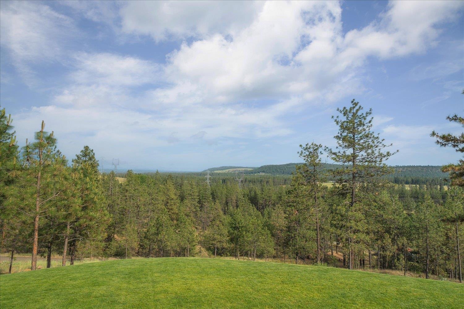 9597 N Peaceful Pine Ln - Photo 43