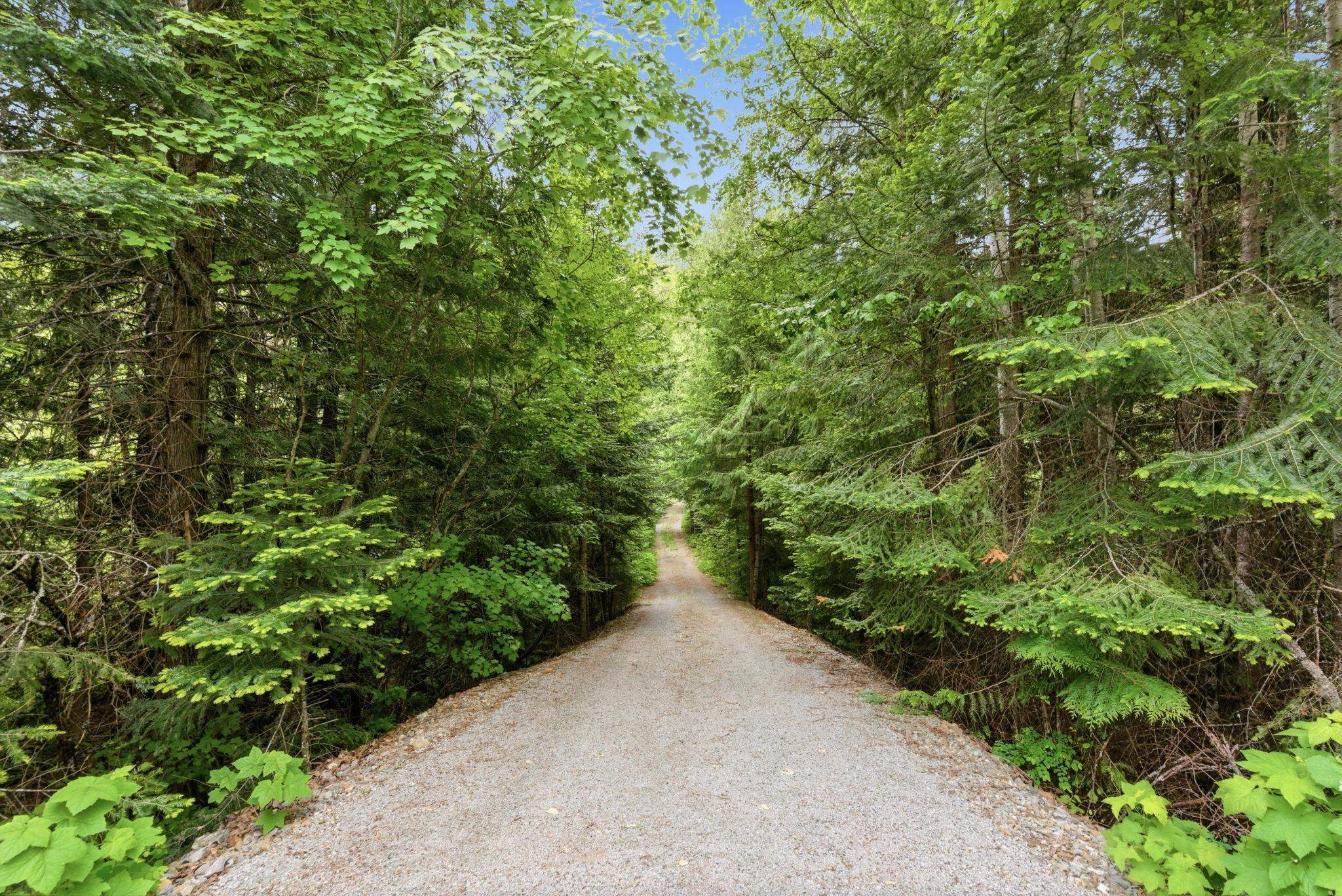 8657 Spring Valley Rd - Photo 31
