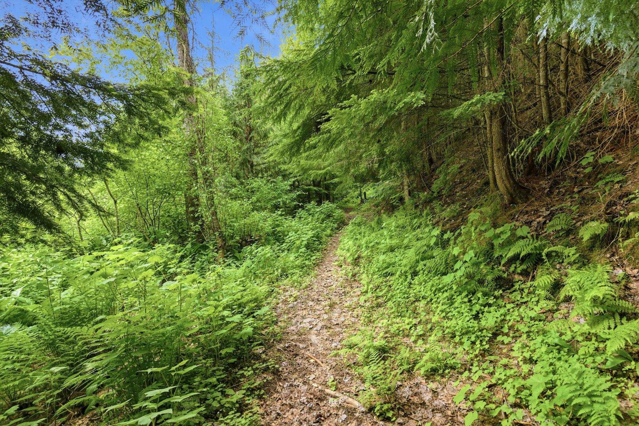 8657 Spring Valley Rd - Photo 36