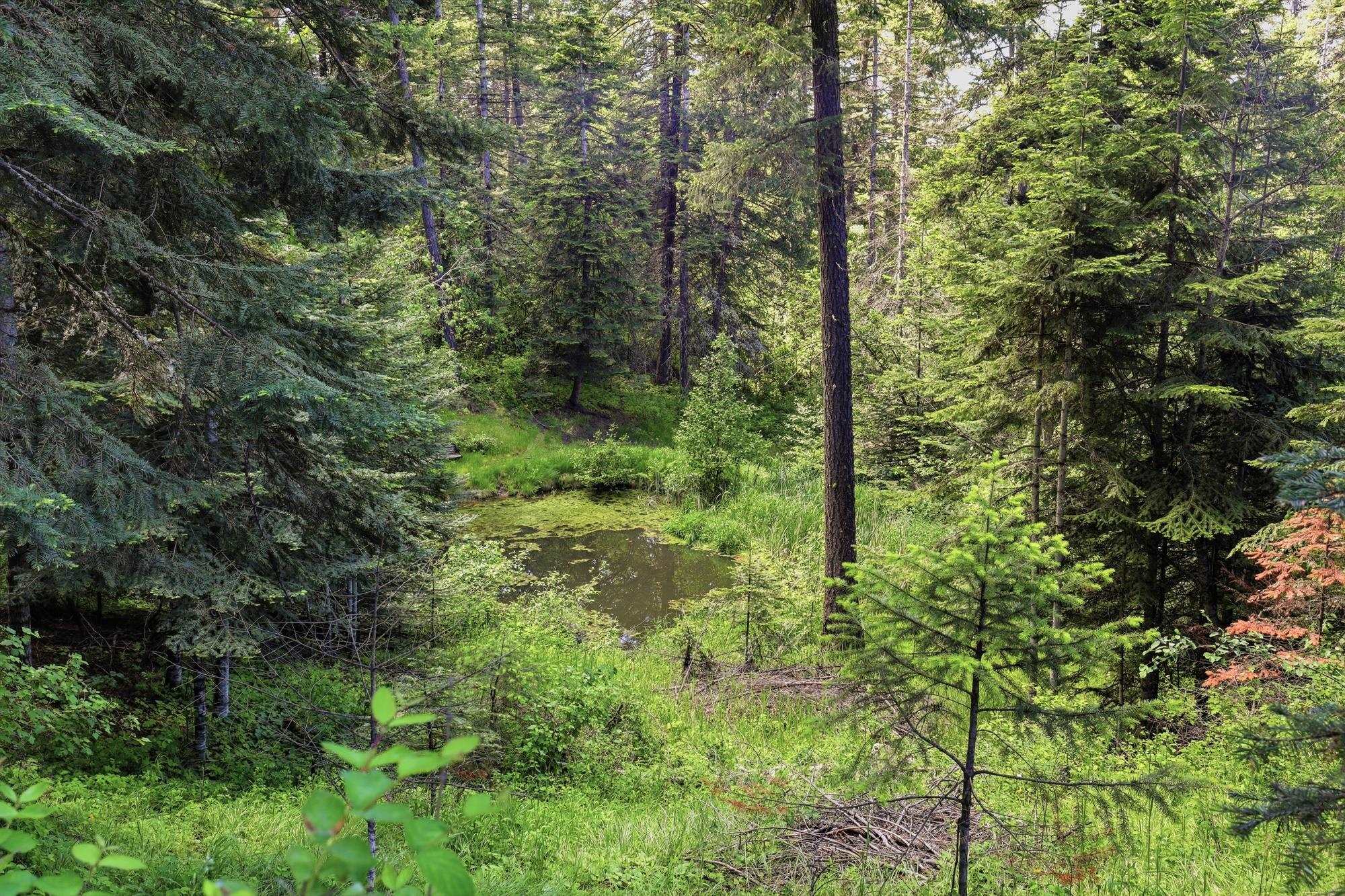 17118 E WASHINGTON Rd - Photo 26