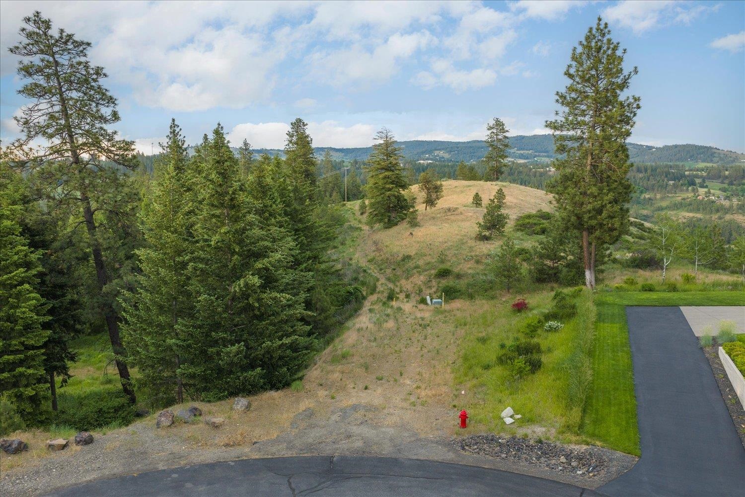 11411 S Elk Run Ln - Photo 3