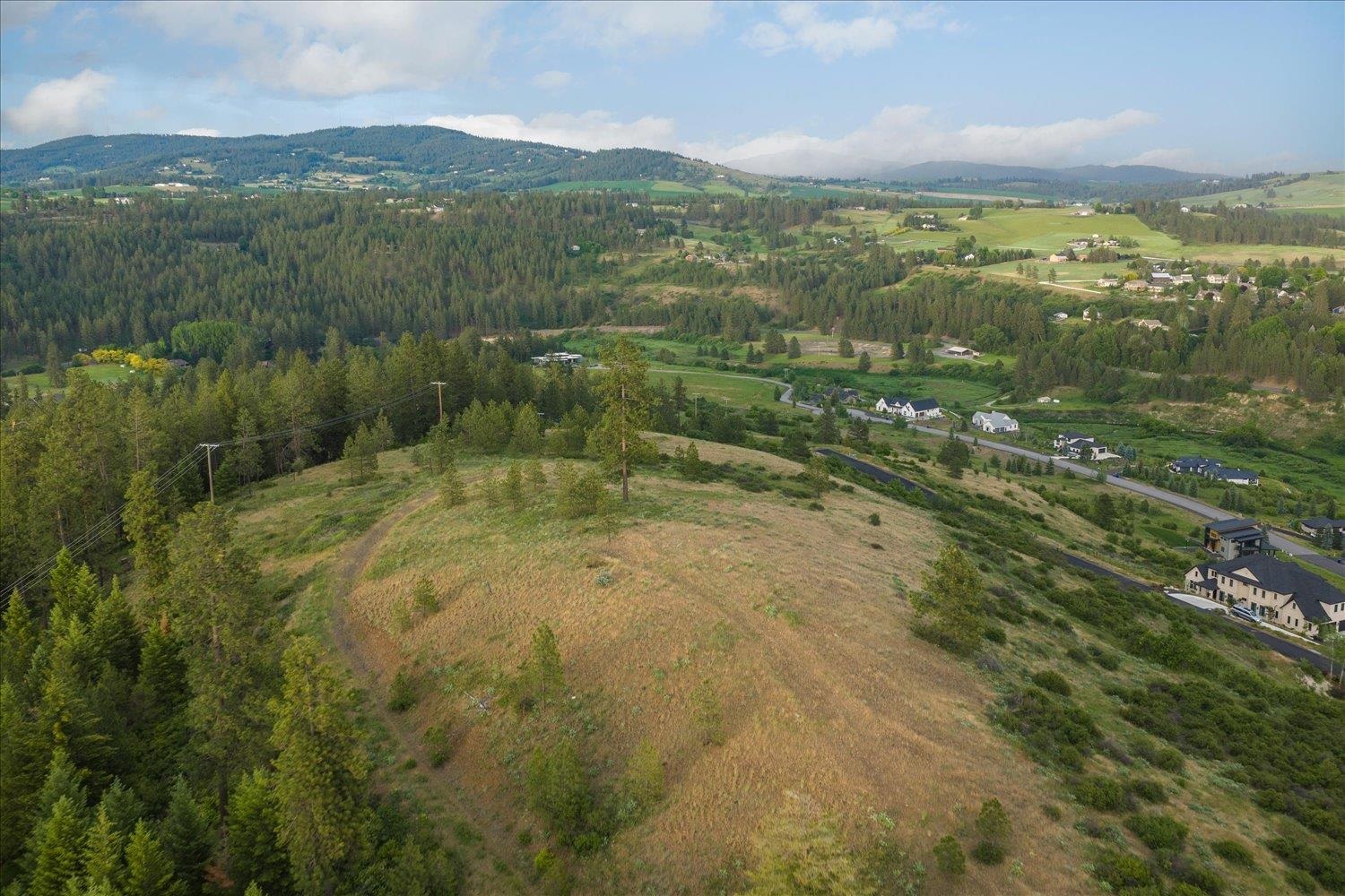 11411 S Elk Run Ln - Photo 4