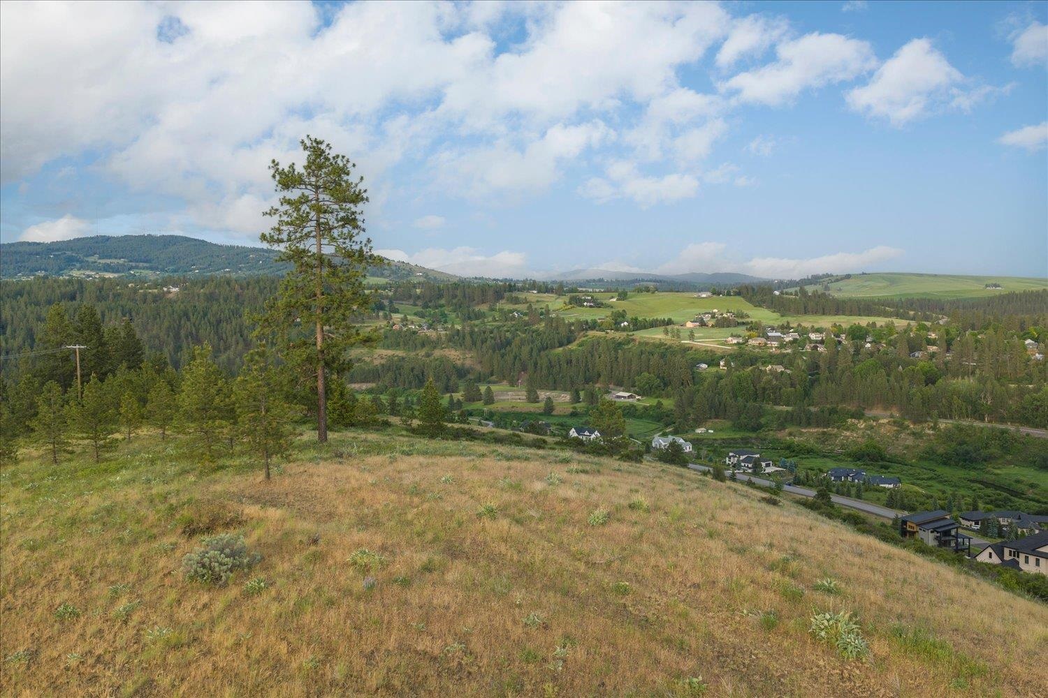 11411 S Elk Run Ln - Photo 5
