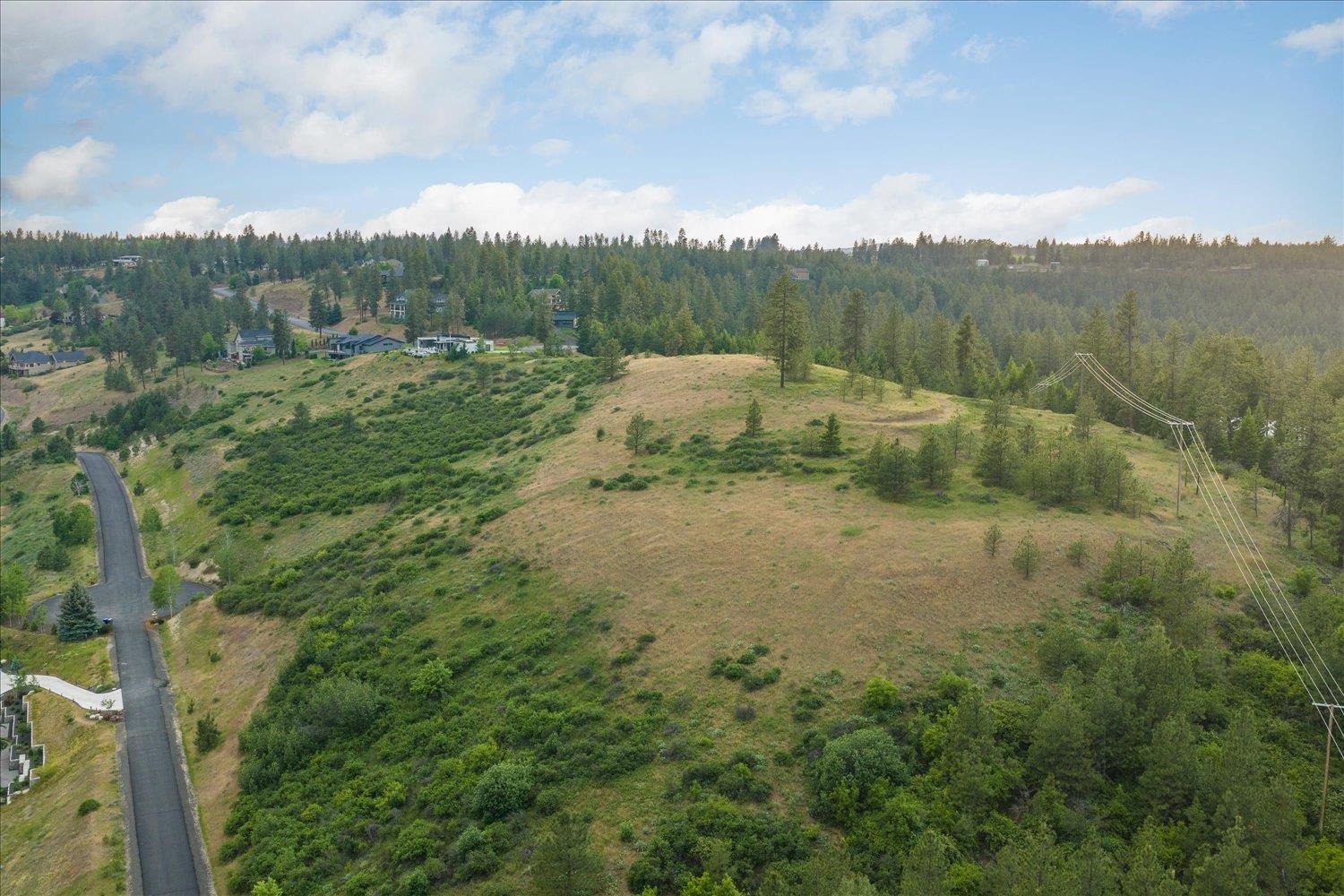 11411 S Elk Run Ln - Photo 6