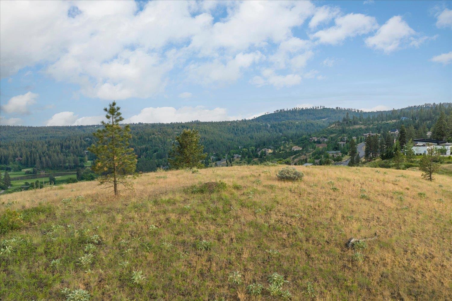 11411 S Elk Run Ln - Photo 7