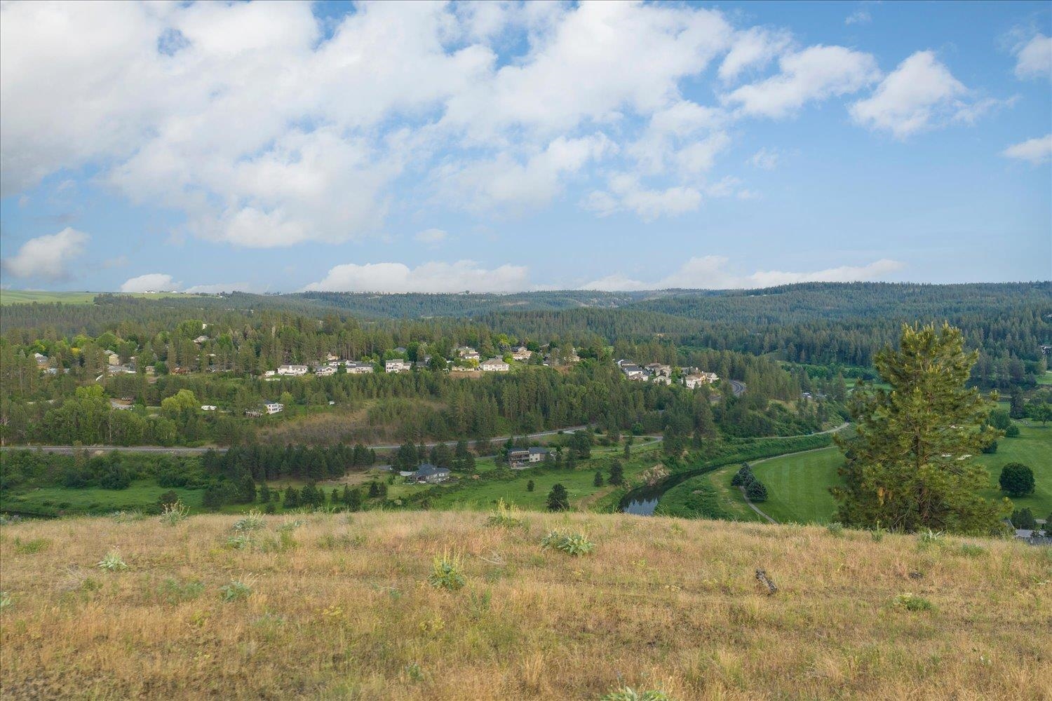 11411 S Elk Run Ln - Photo 8