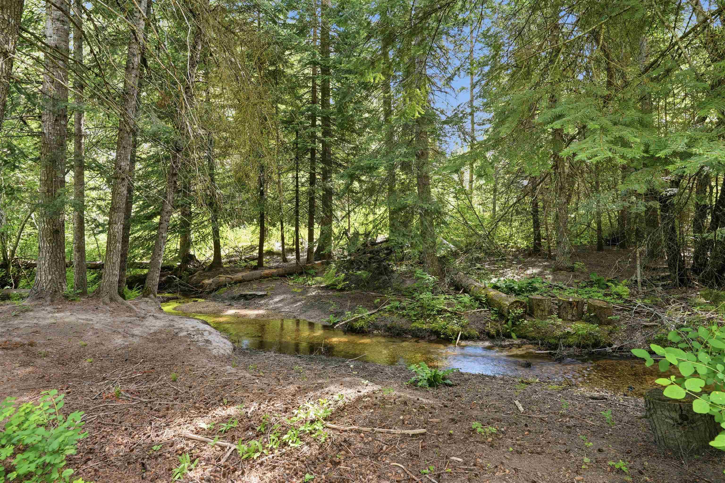 10808 E Hartley Ln - Photo 43