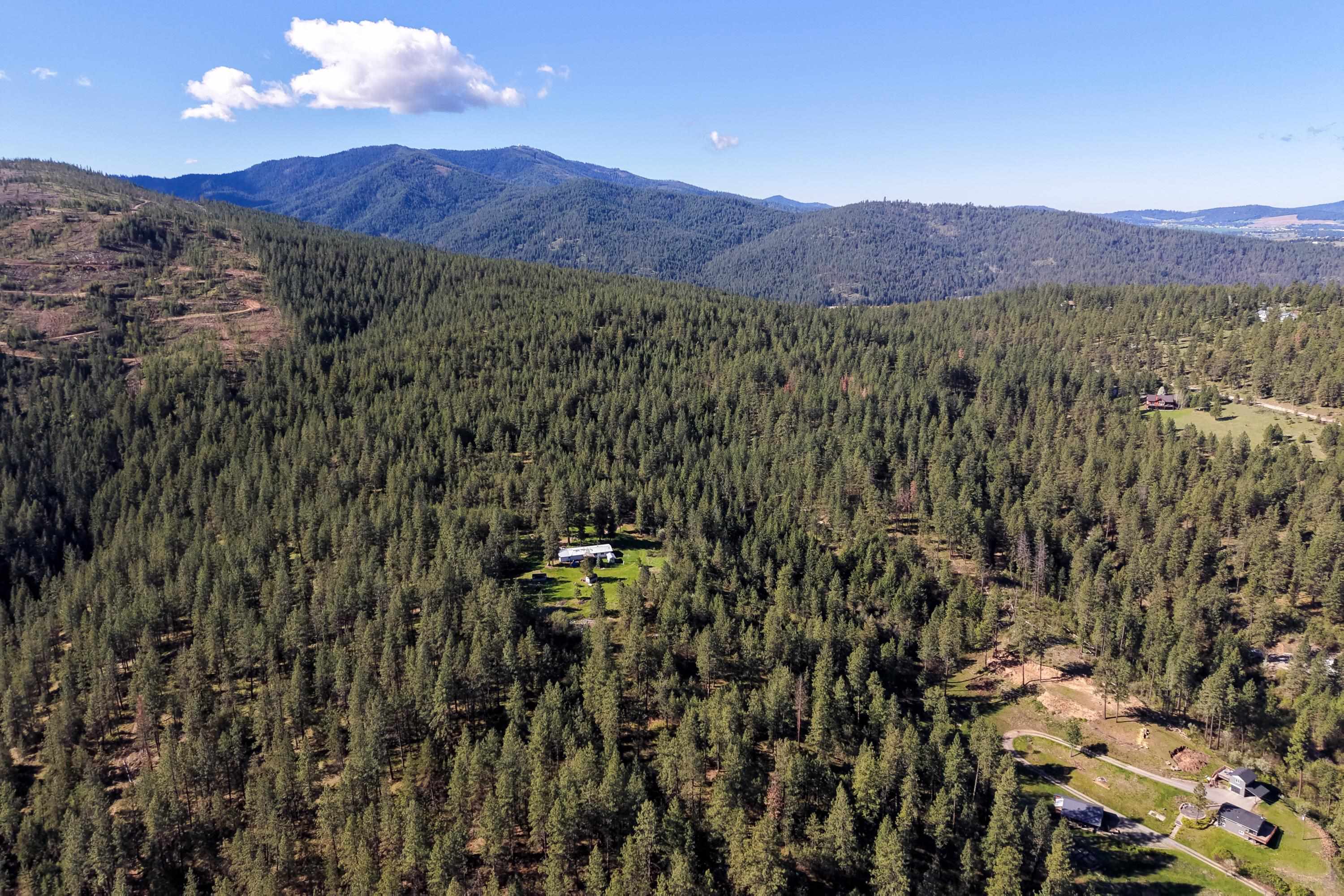 919 S Idaho Rd - Photo 10