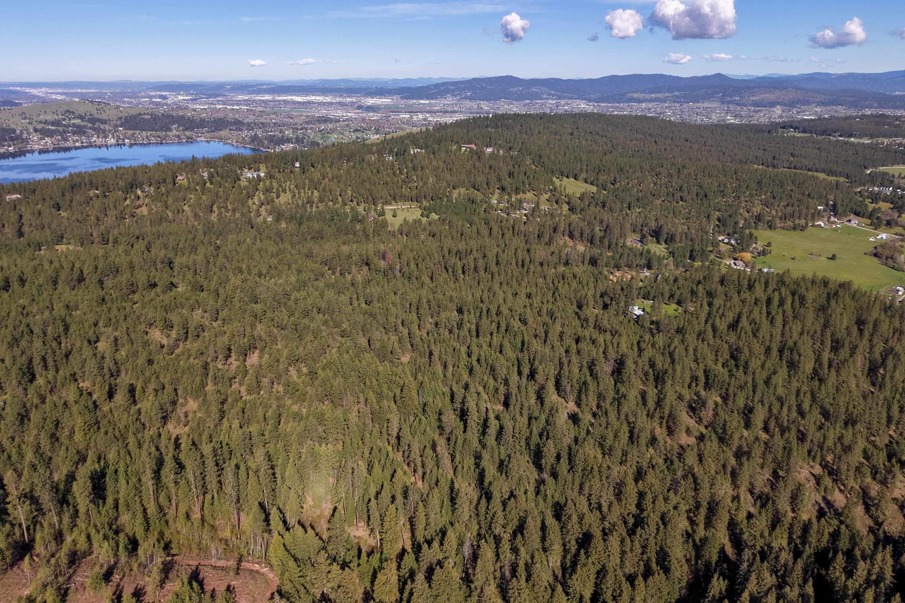 919 S Idaho Rd - Photo 14