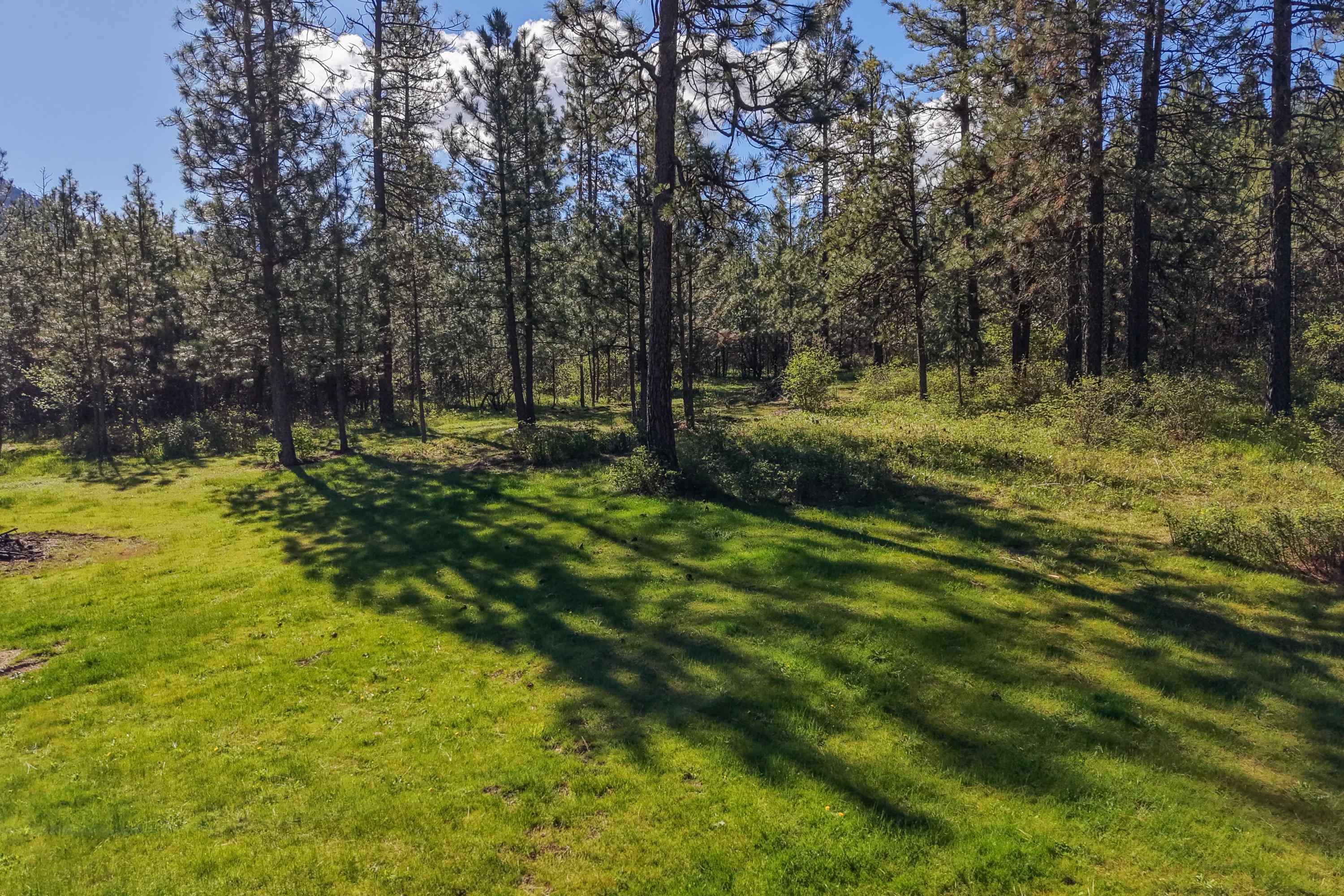 919 S Idaho (Vacant 9018) Rd - Photo 3