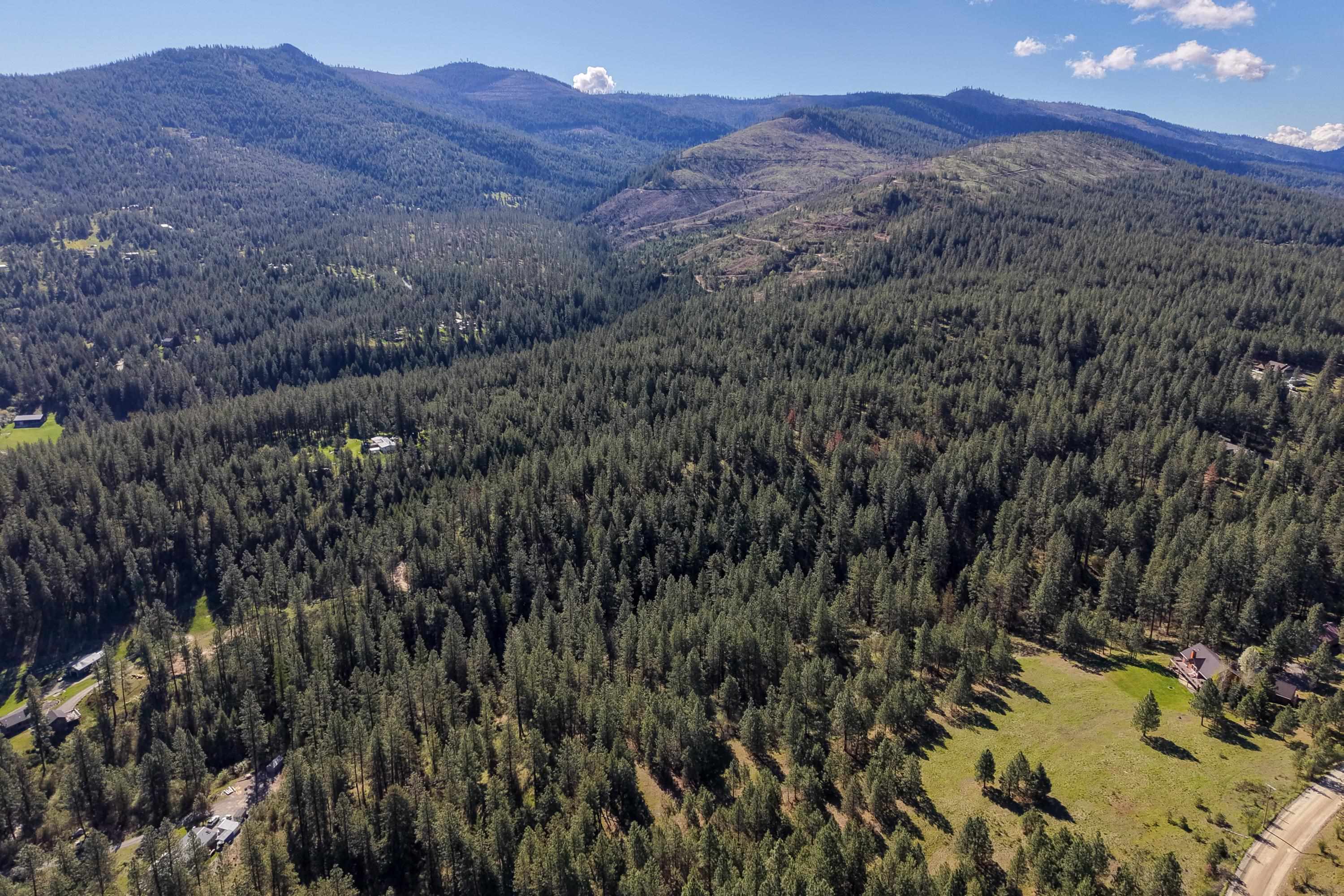 919 S Idaho (Vacant 9018) Rd - Photo 5
