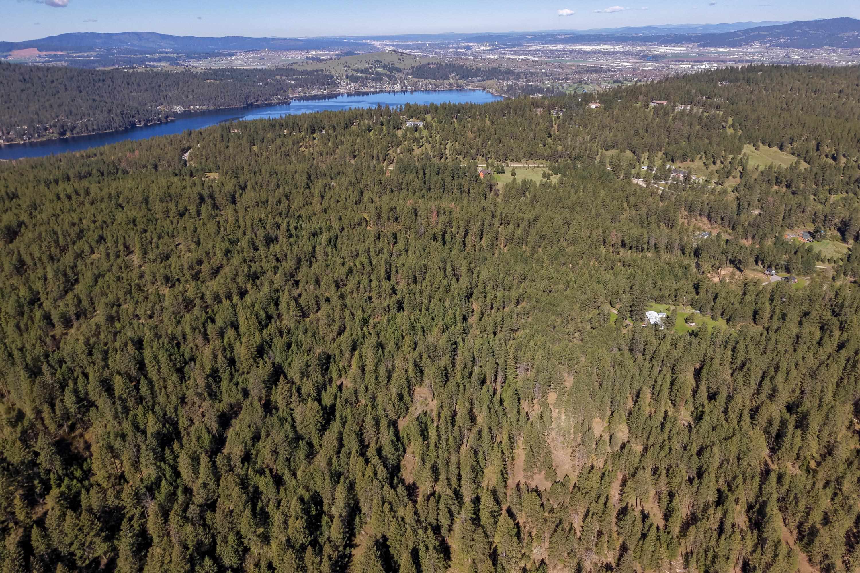 919 S Idaho (Vacant 9018) Rd - Photo 8
