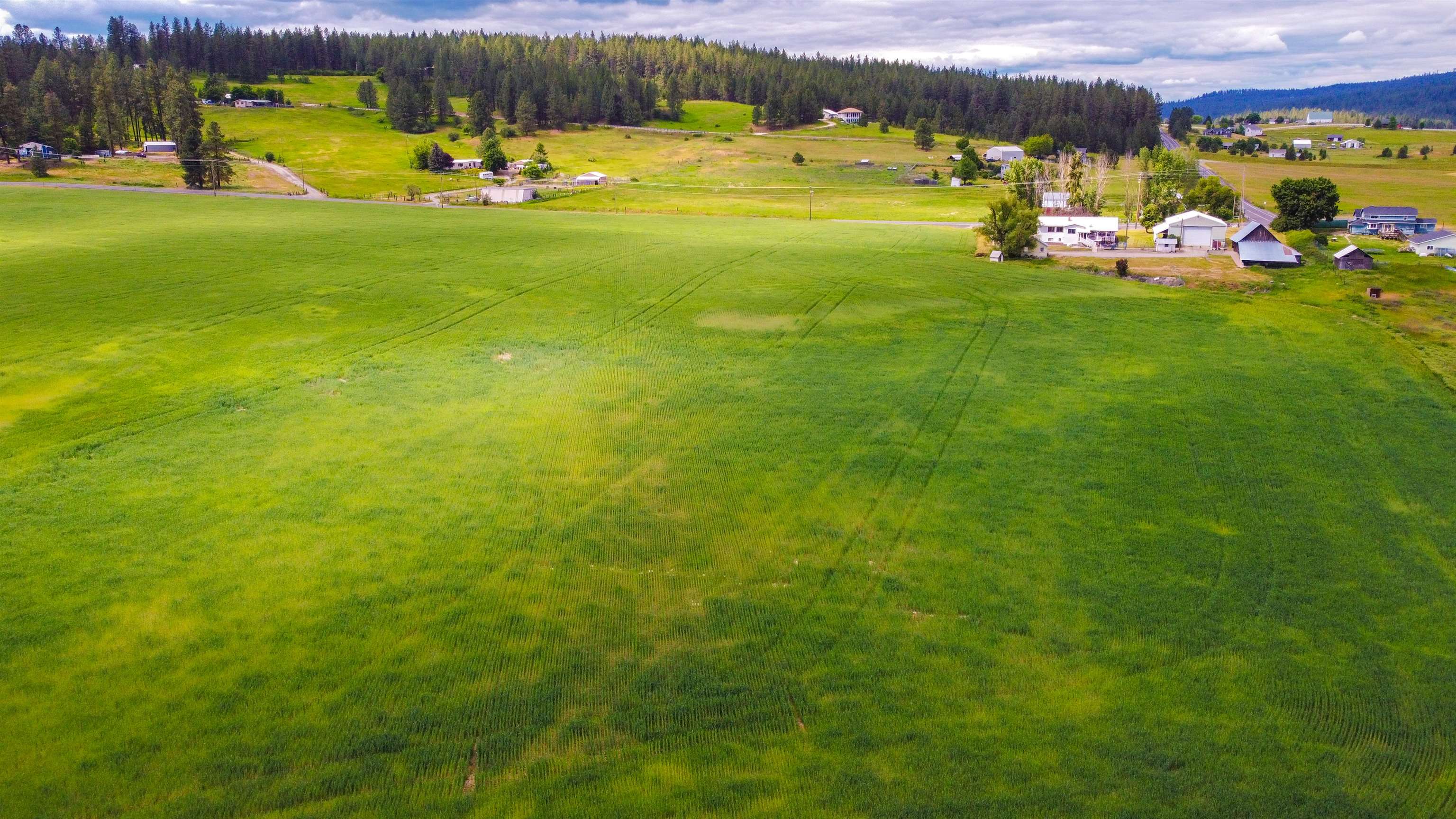13014 E Mt Spokane Park Dr - Photo 14