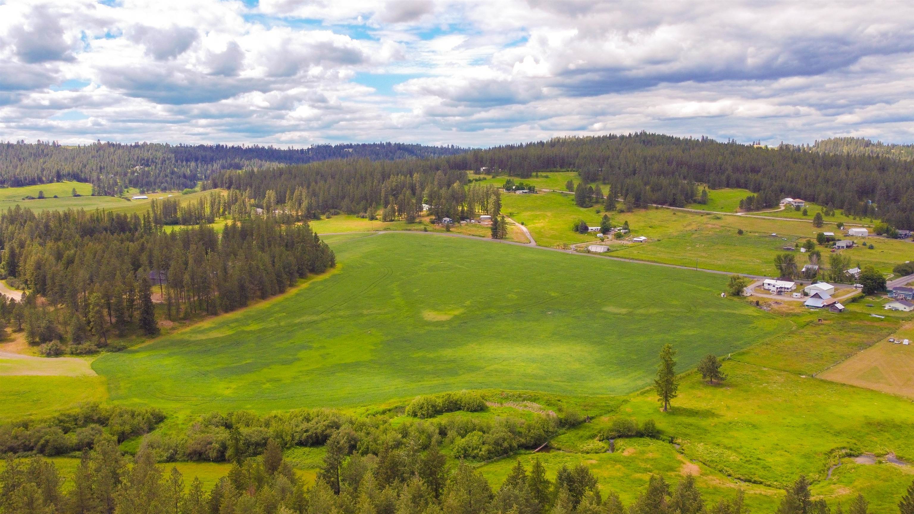 13014 E Mt Spokane Park Dr - Photo 15
