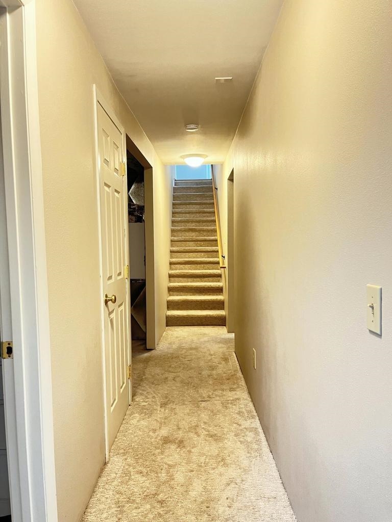 5203 Prufer Crosscut Rd - Photo 20