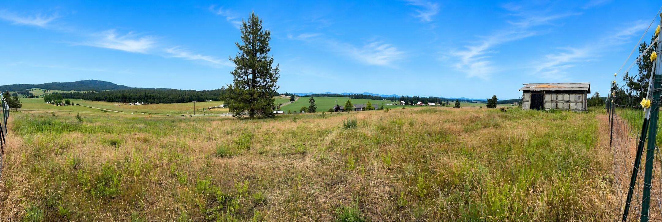 5203 Prufer Crosscut Rd - Photo 44