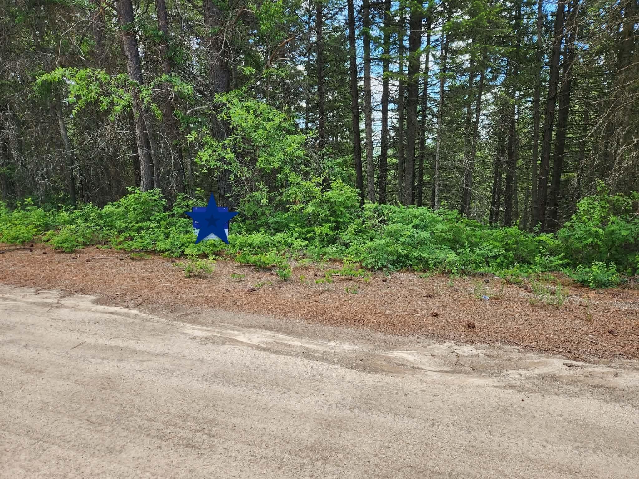 NNA Buck Creek Rd - Photo 3