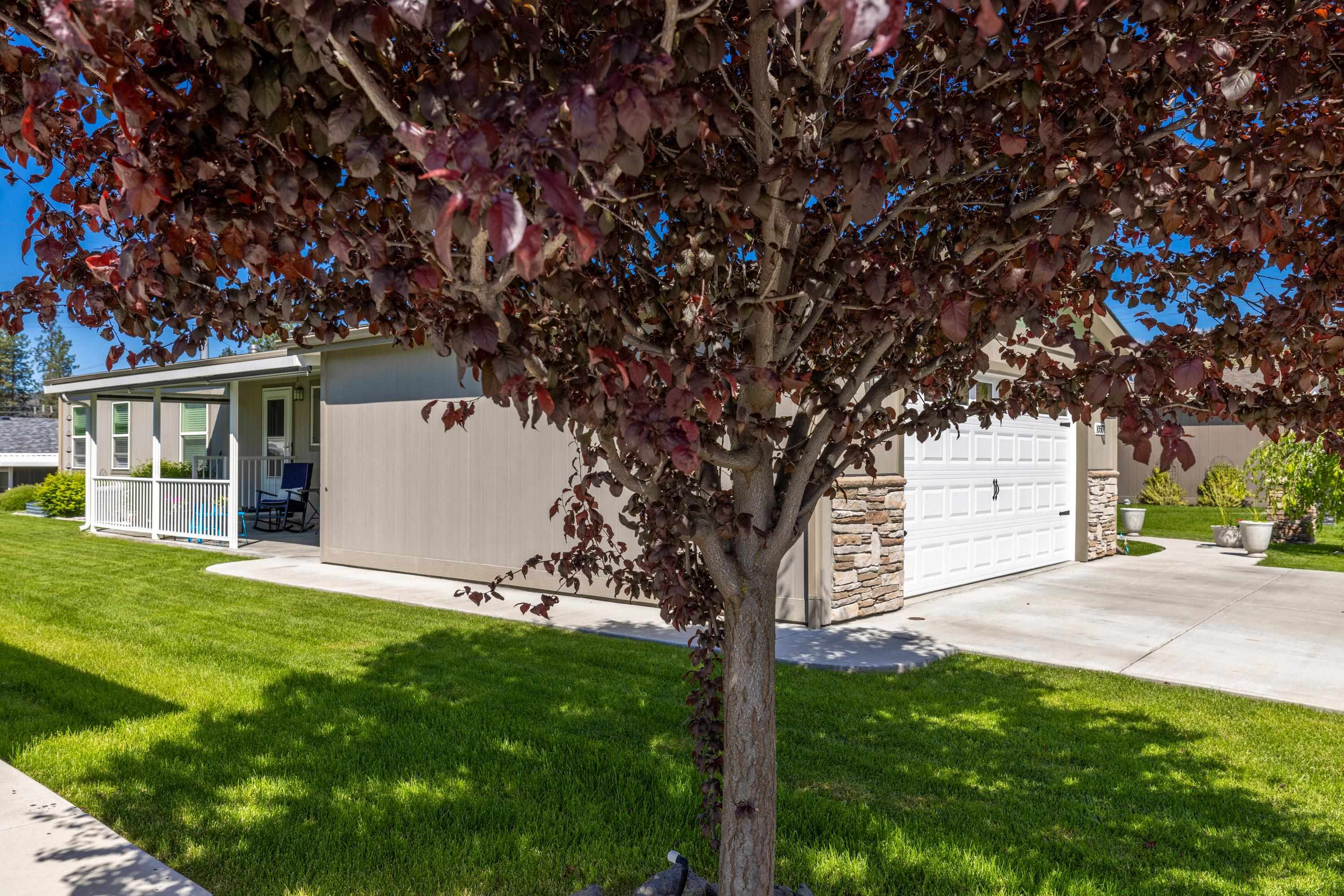 10507 N JACQUELINE Ln - Photo 5