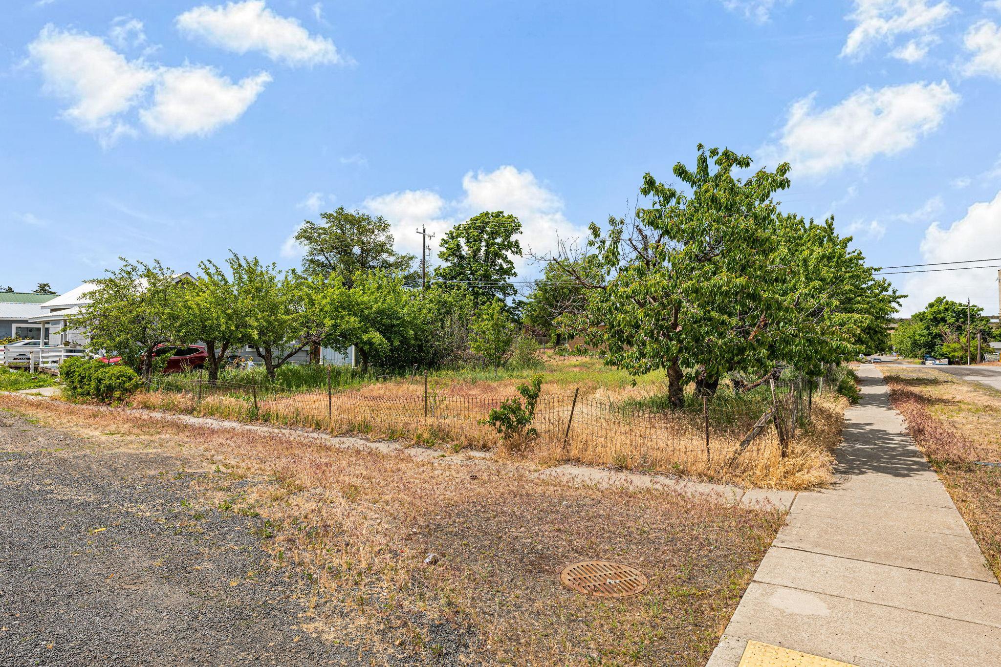 503 W 3rd St - Photo 37