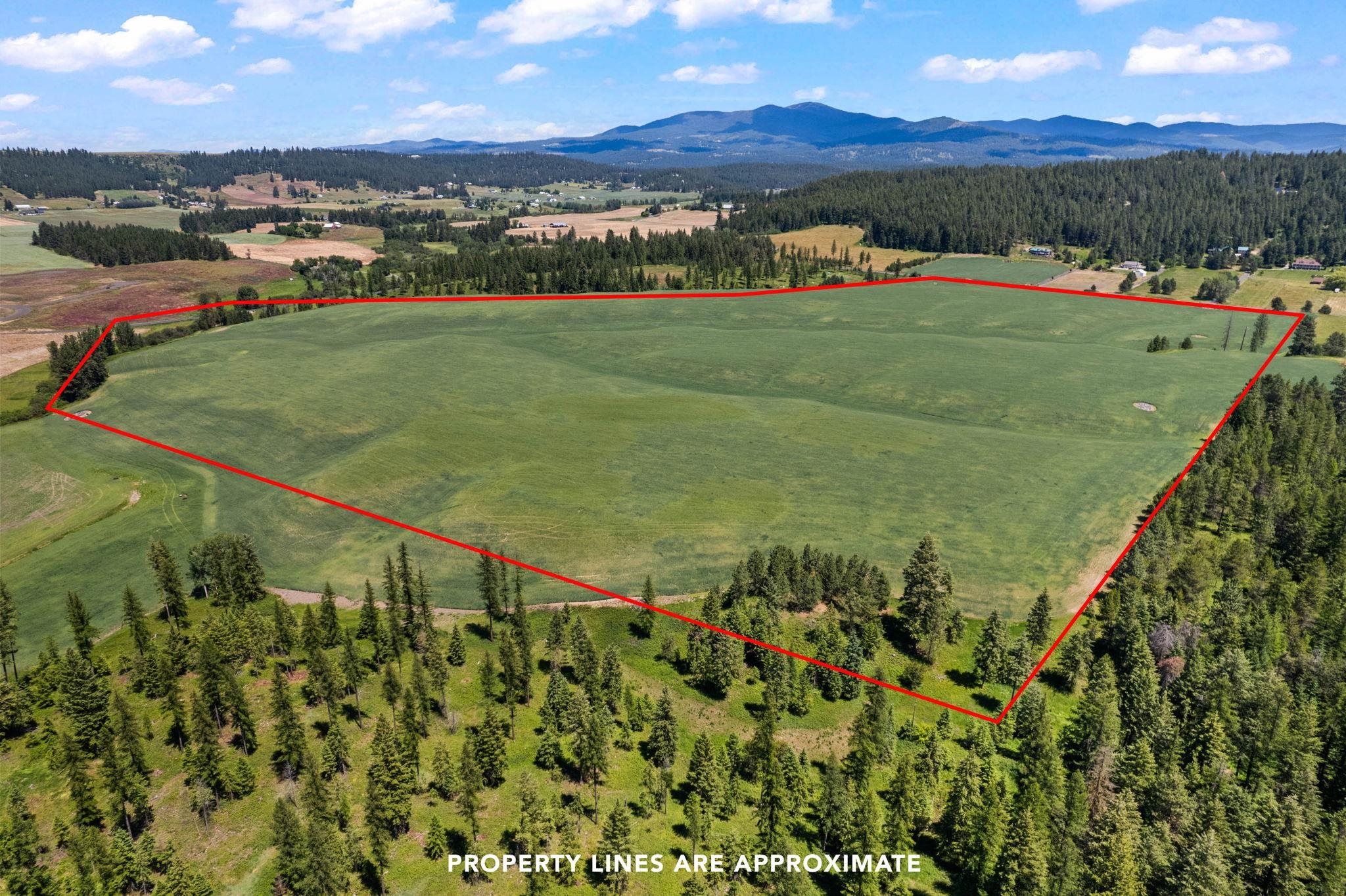 20141 N Bernhill Rd - Photo 2