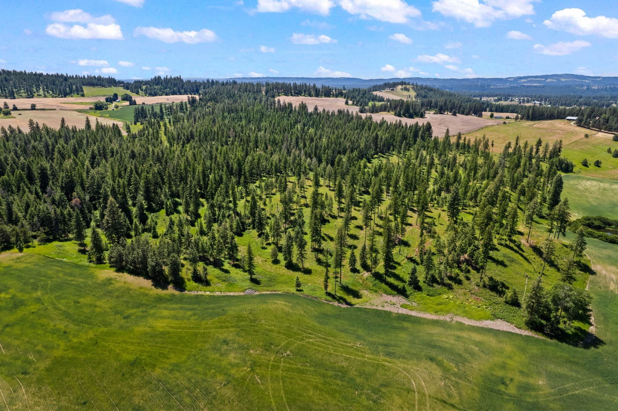 20141 N Bernhill Rd - Photo 10