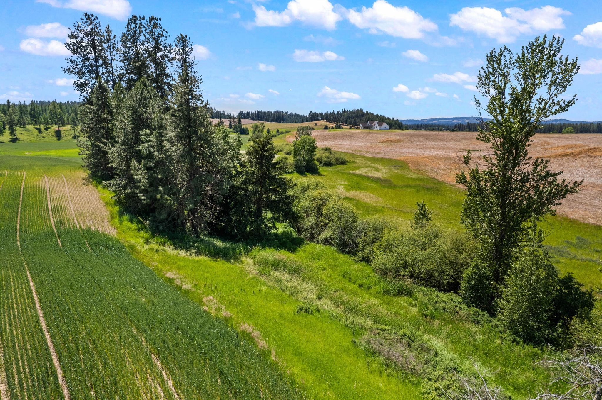20141 N Bernhill Rd - Photo 11