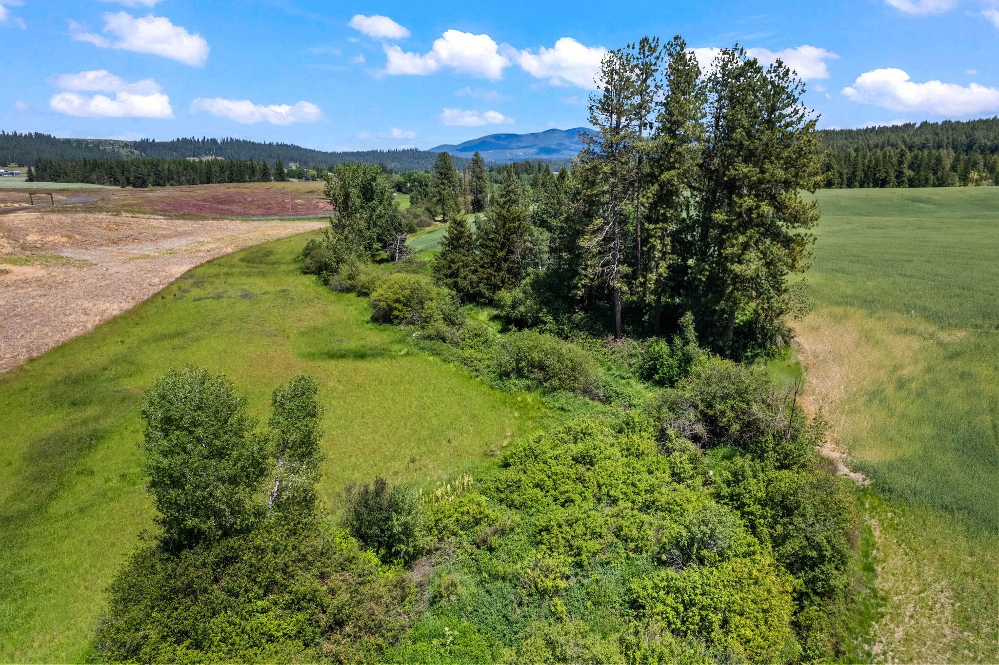 20141 N Bernhill Rd - Photo 12