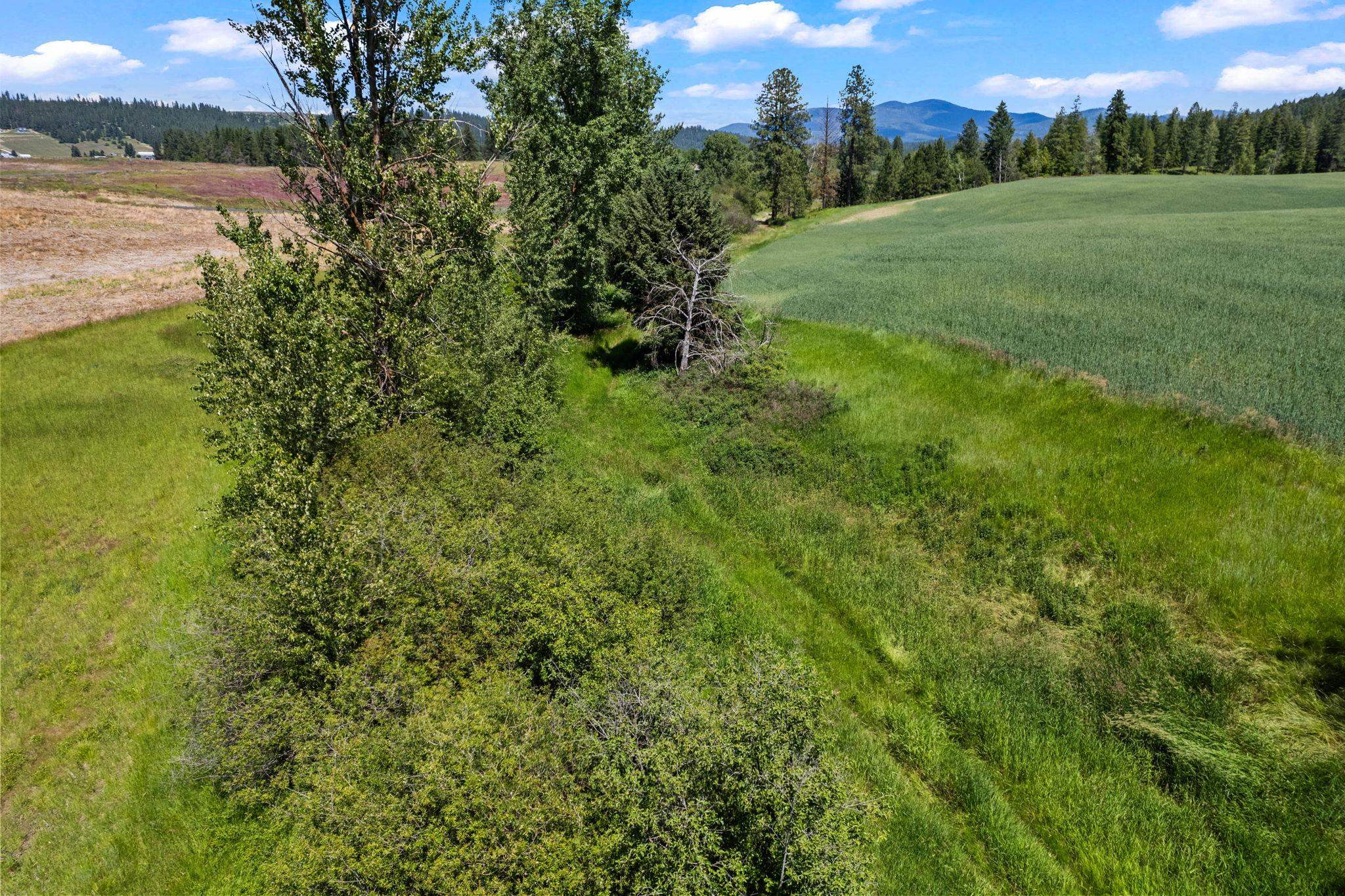 20141 N Bernhill Rd - Photo 13